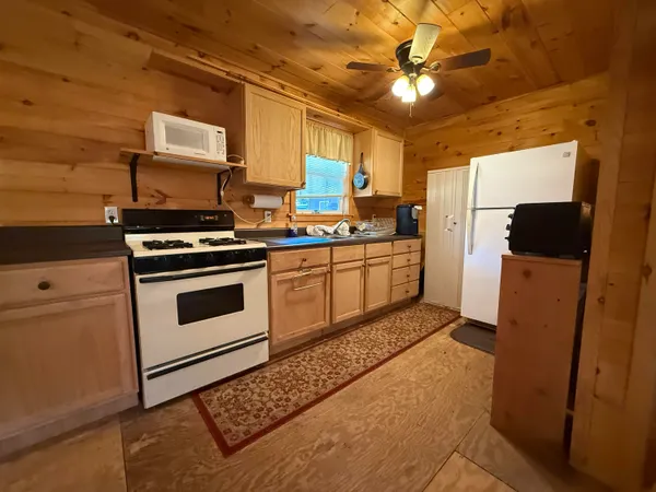 $195,000 | 0 Healing Springs Road, Blackville, SC 29817