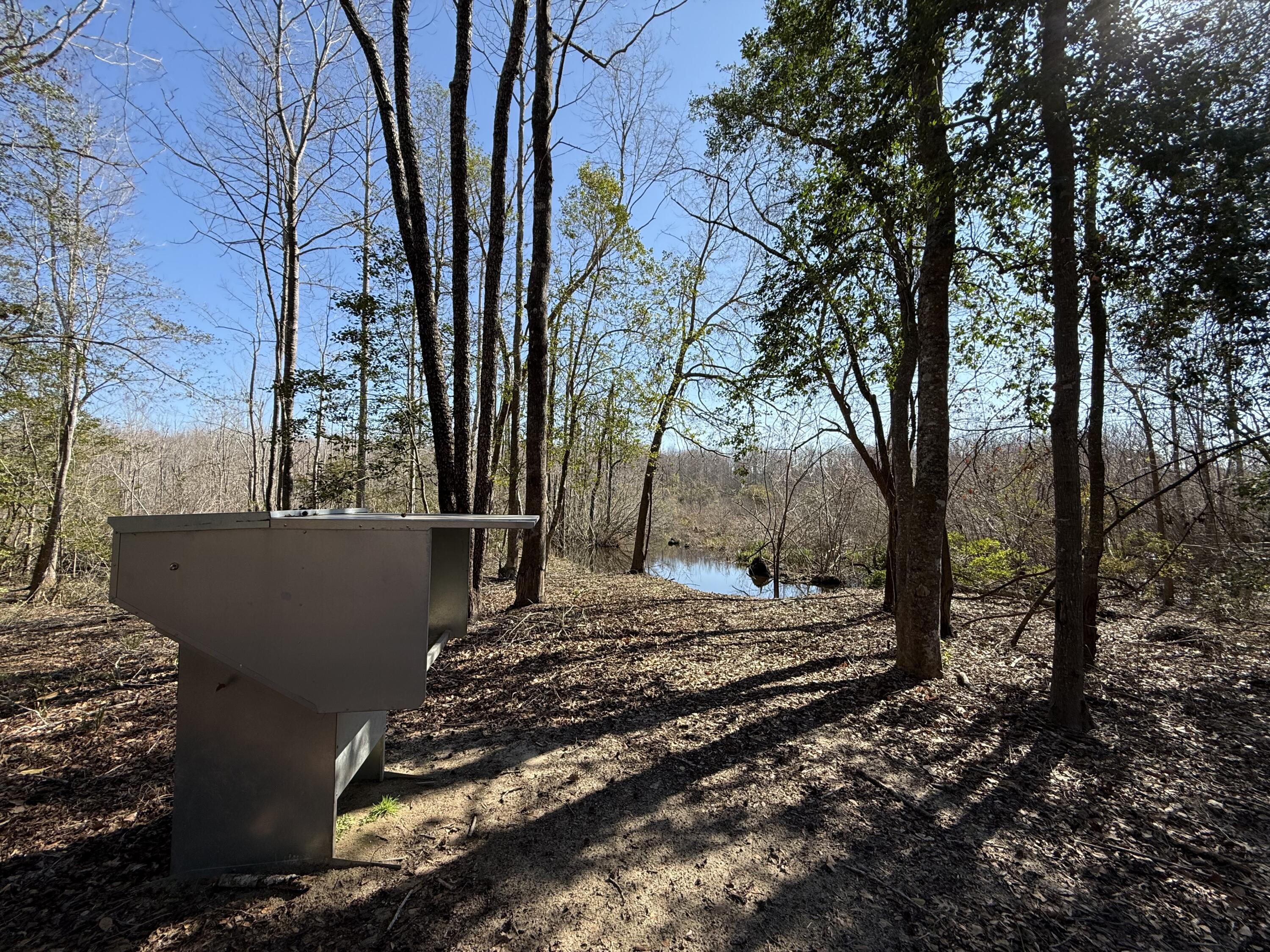 0 Healing Springs Road Blackville, SC 29817 - Photo 13 of 25 IMG_0409