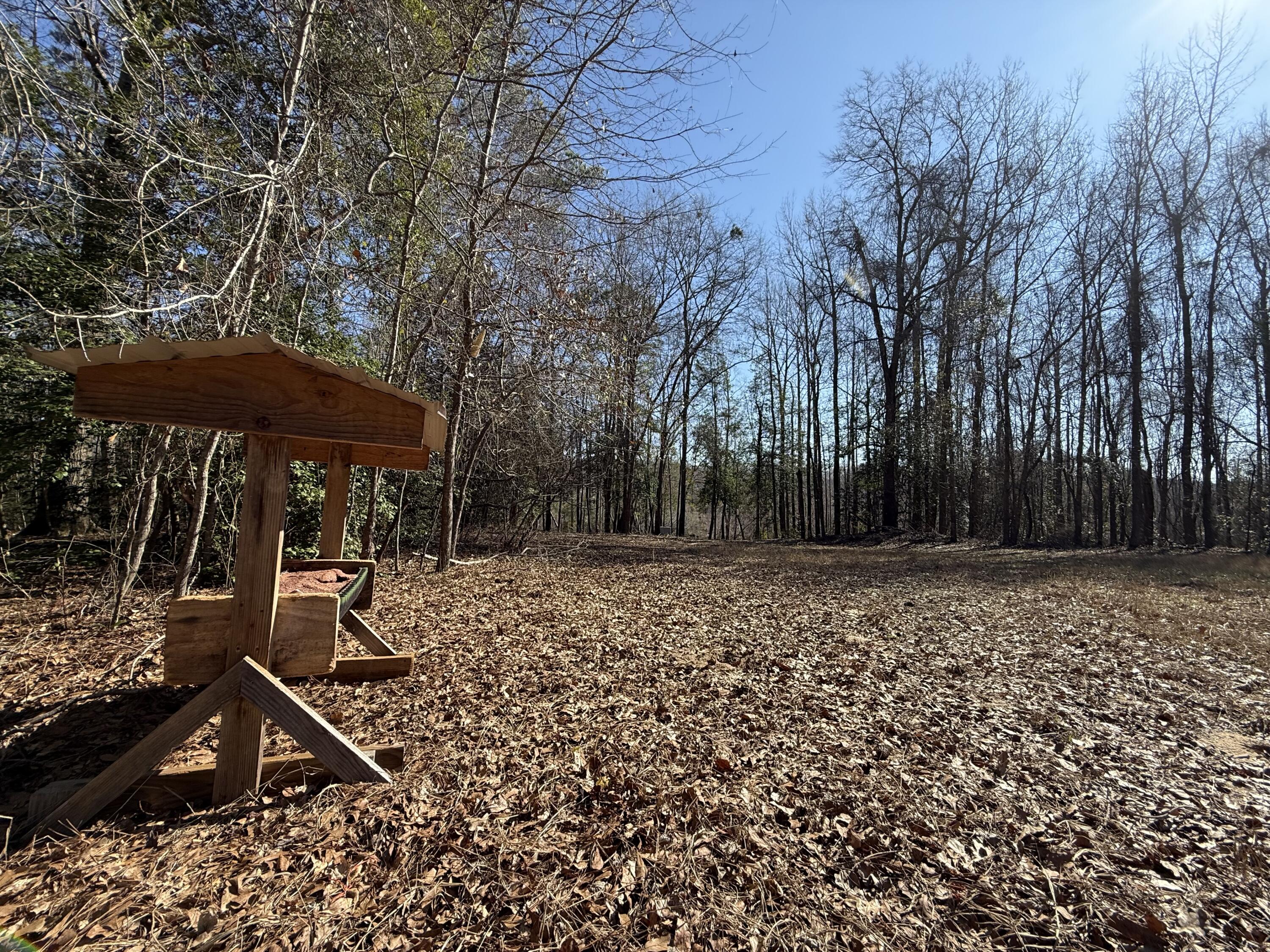 0 Healing Springs Road Blackville, SC 29817 - Photo 15 of 25 IMG_0403