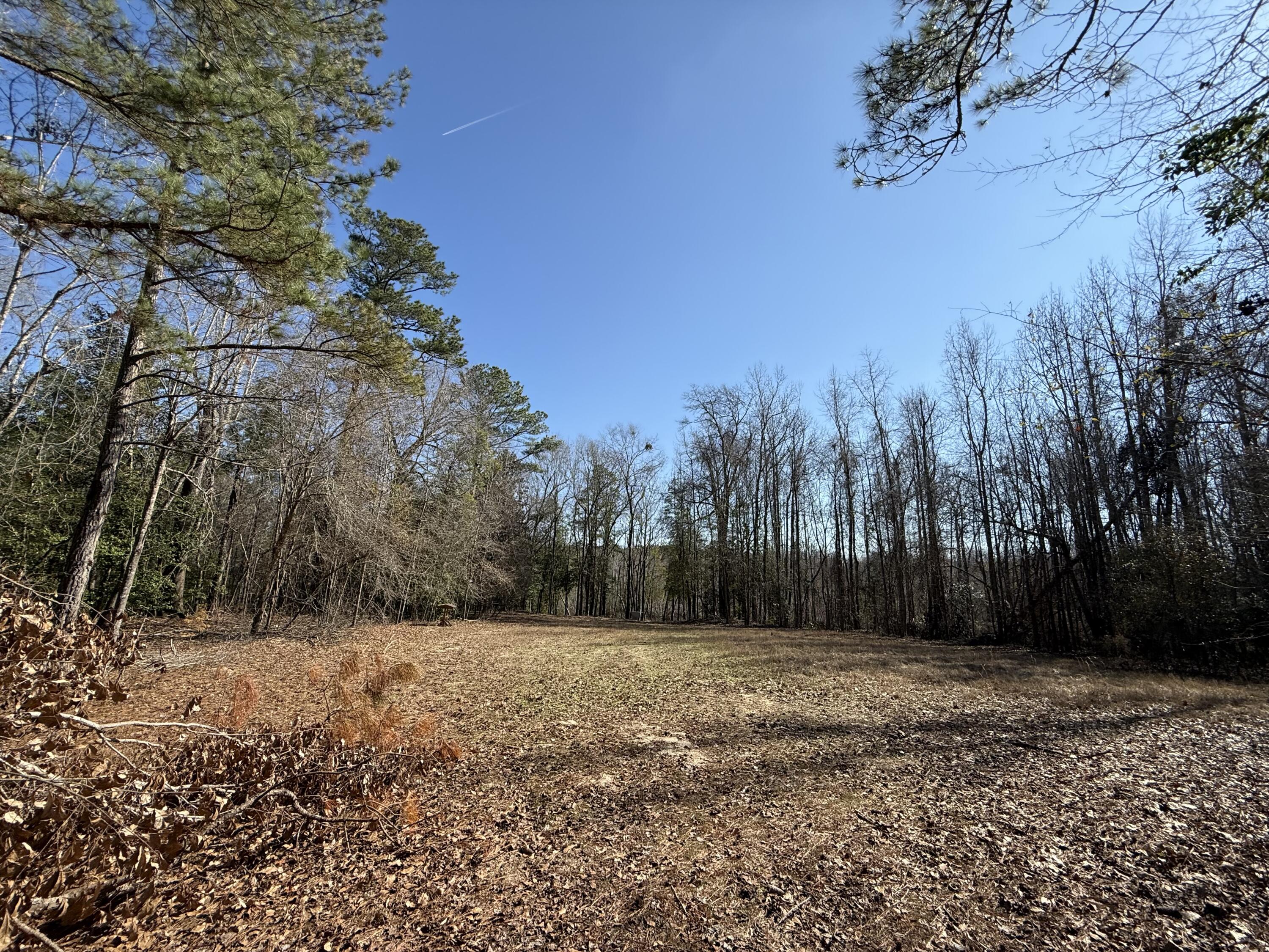 0 Healing Springs Road Blackville, SC 29817 - Photo 18 of 25 IMG_0400