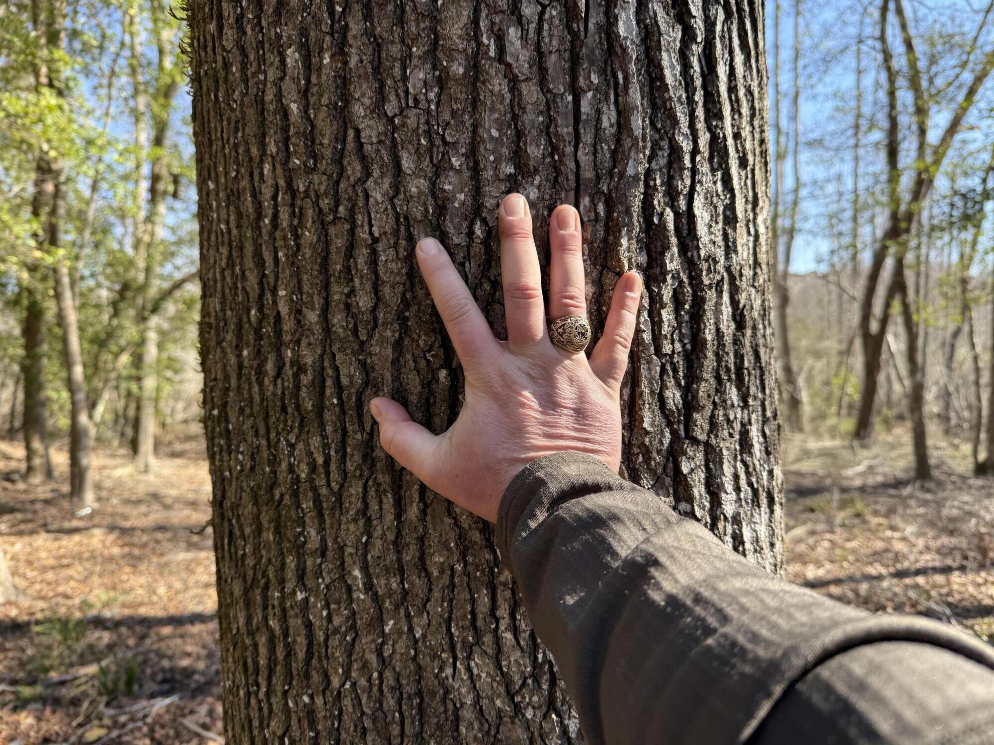 0 Healing Springs Road Blackville, SC 29817 - Photo 19 of 25 IMG_0416
