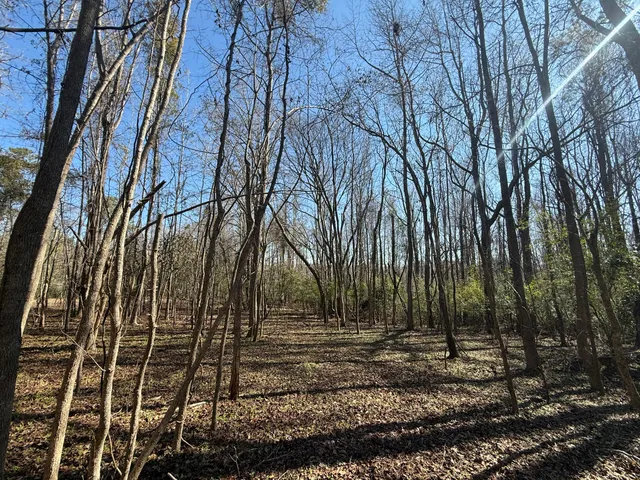 $205,000 | 0 Healing Springs Road, Blackville, SC 29817