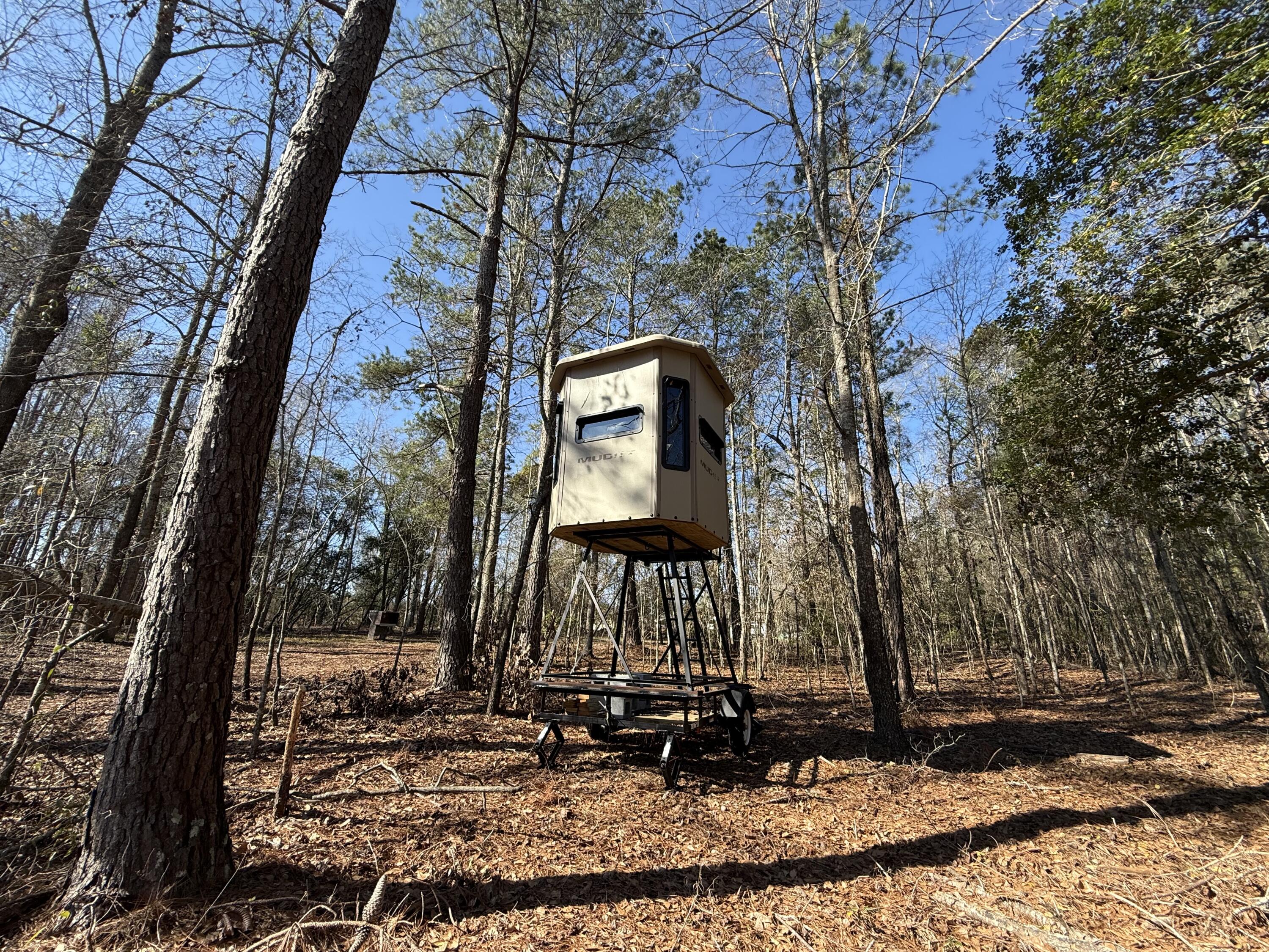 0 Healing Springs Road Blackville, SC 29817 - Photo 2 of 25 IMG_0402