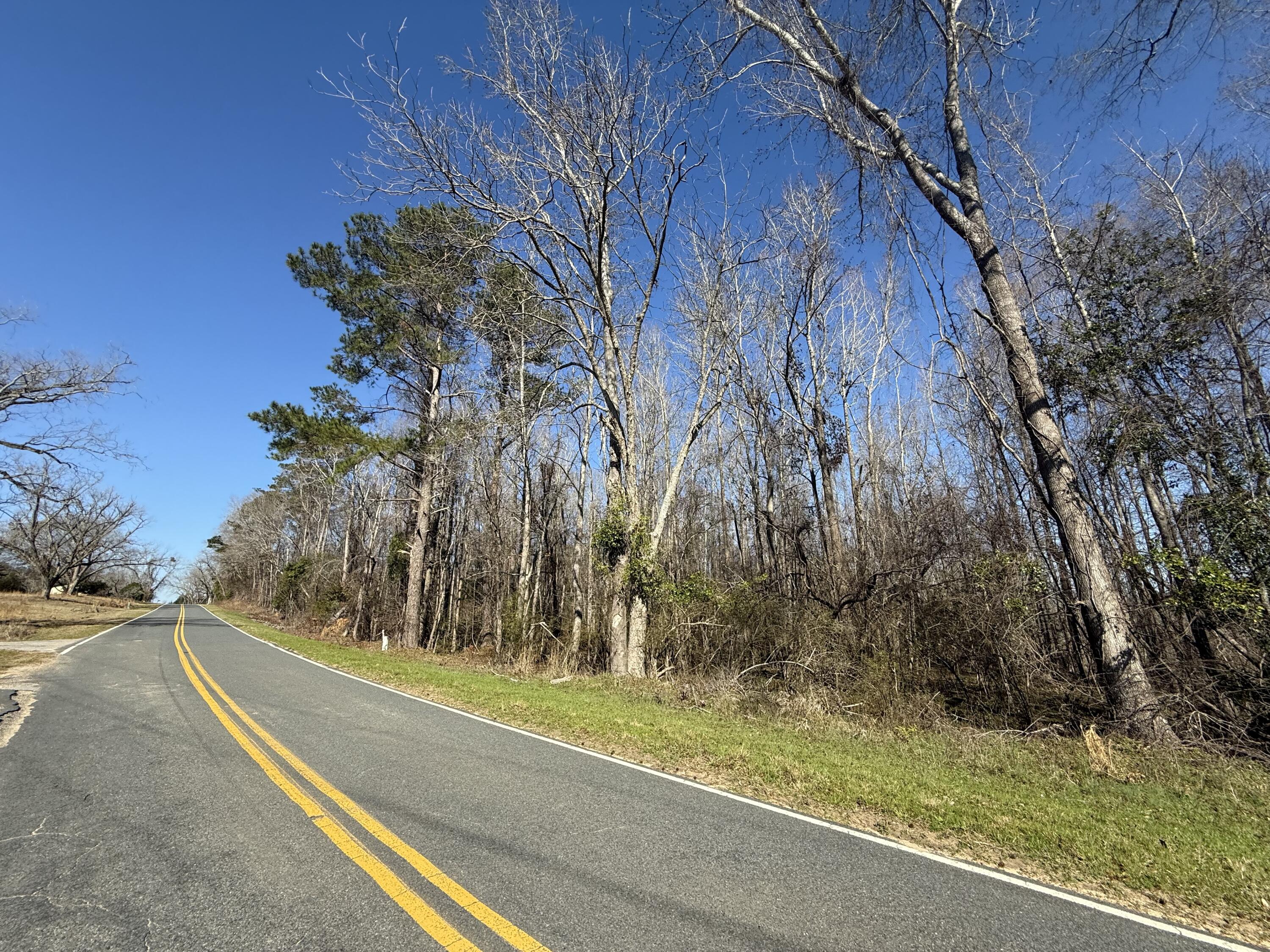 0 Healing Springs Road Blackville, SC 29817 - Photo 22 of 25 IMG_0422
