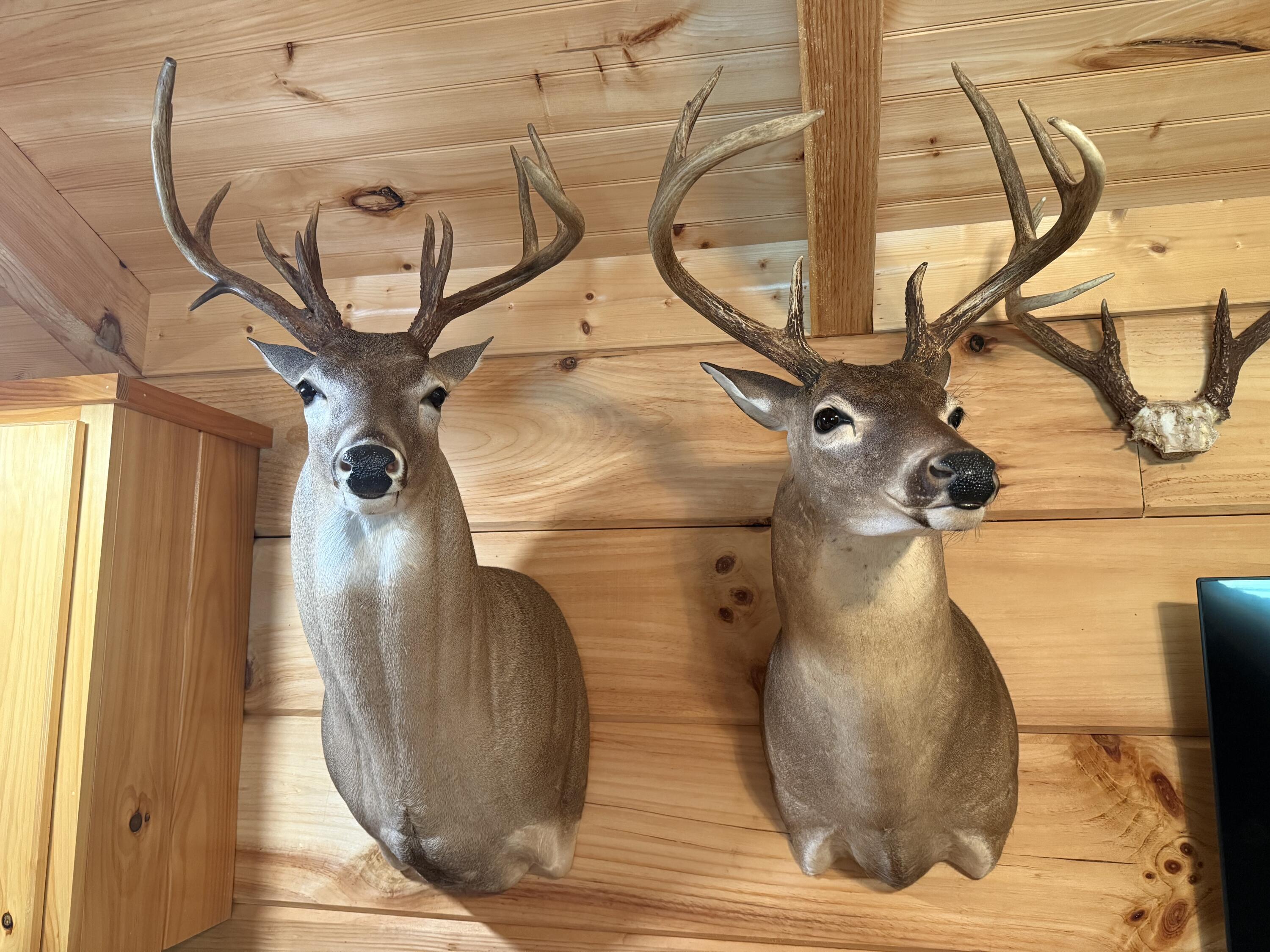 0 Healing Springs Road Blackville, SC 29817 - Photo 24 of 25 IMG_1737