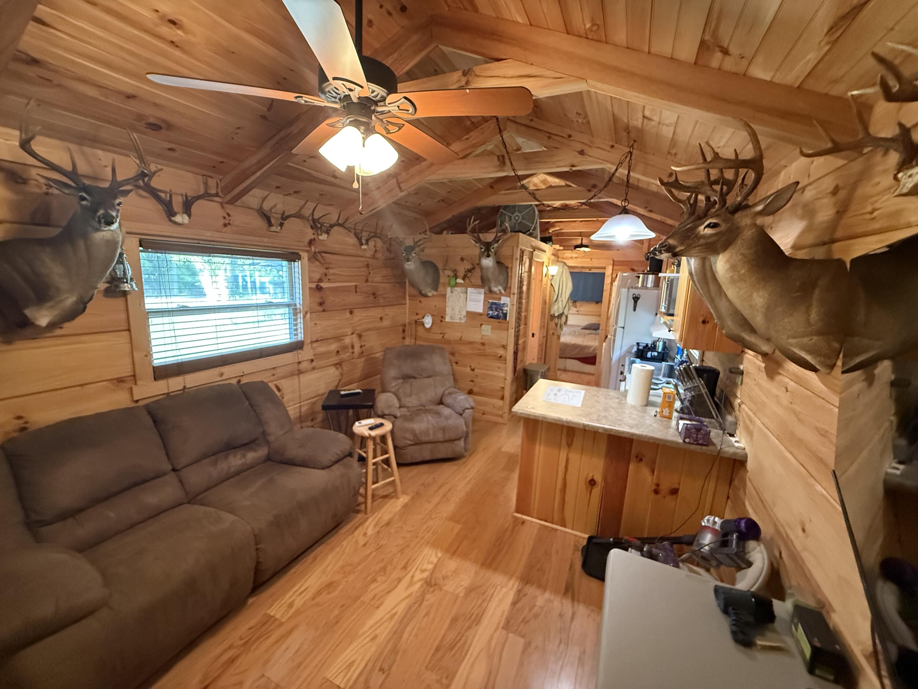 0 Healing Springs Road Blackville, SC 29817 - Photo 5 of 25 IMG_1734