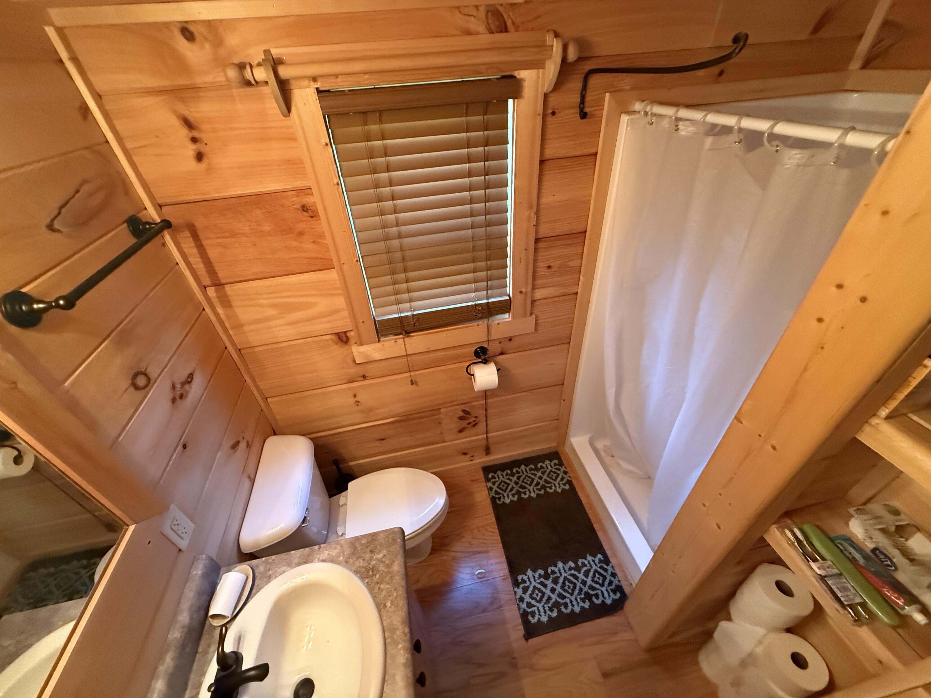 0 Healing Springs Road Blackville, SC 29817 - Photo 8 of 25 IMG_1729