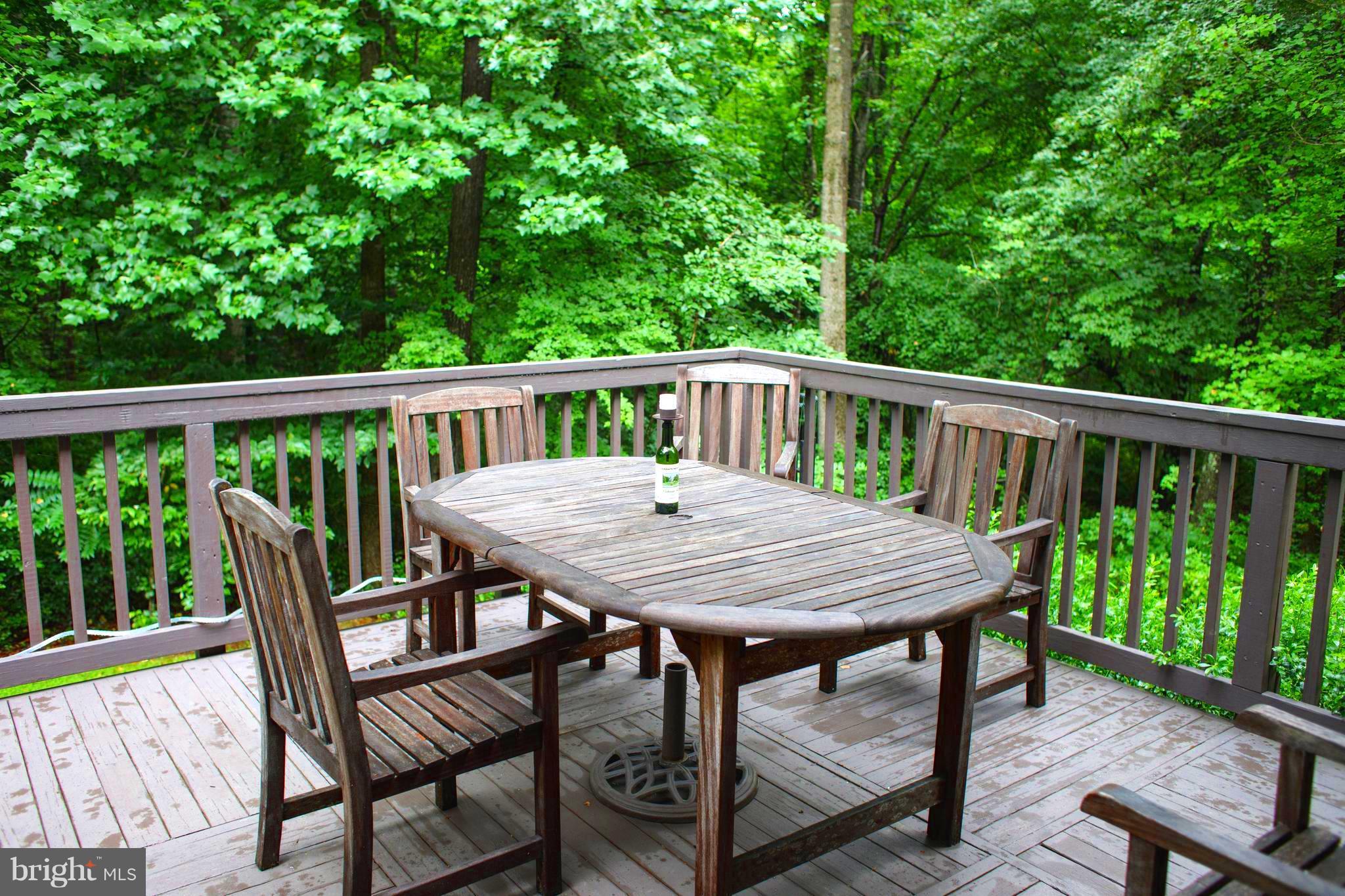 9369 Springs Road Warrenton, VA 20186 - Photo 16 of 25 Large private back deck