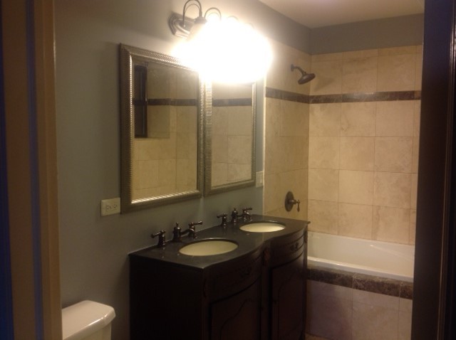 5201 South Indiana Avenue, Unit G Chicago, IL 60615 - Photo 5 of 5 a bathroom with a sink and a mirror
