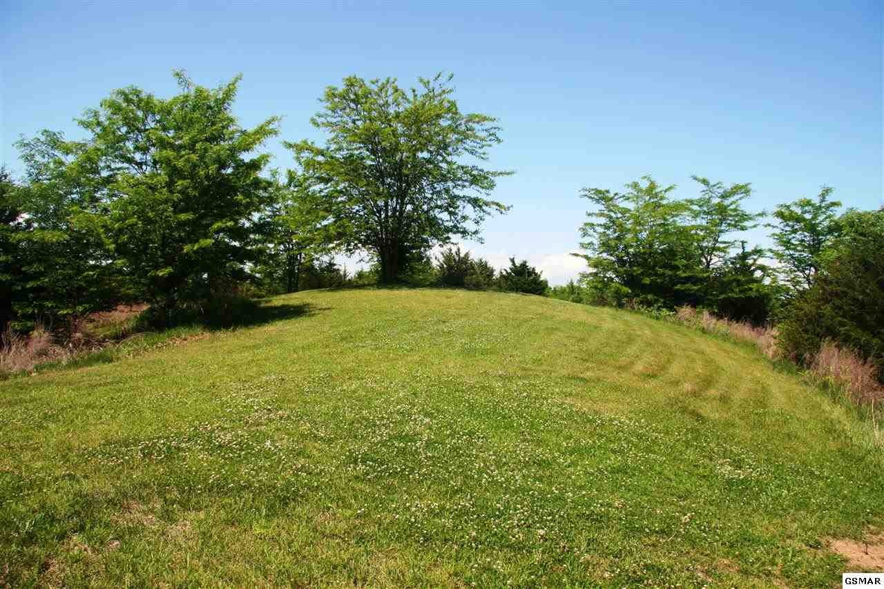 84 Wildwood Road Dandridge, TN 37725 - Photo 1 of 1