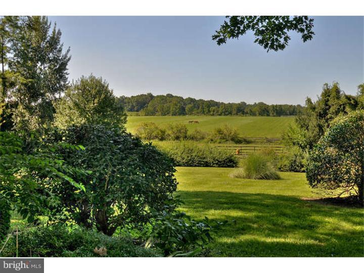34 White Pine Road Chesterfield, NJ 08515 - Photo 22 of 25 View in Back
