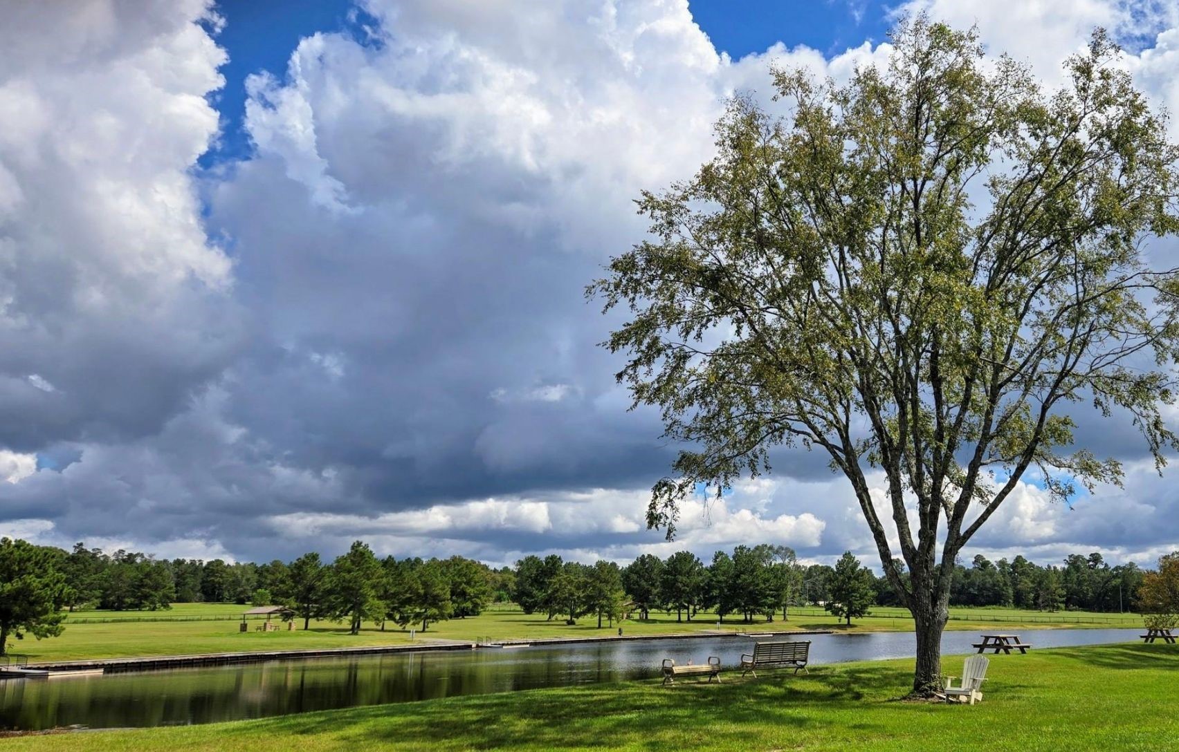 15890 Ridge Oak Road Willis, TX 77378 - Photo 7 of 11 a view of a golf course with a lake