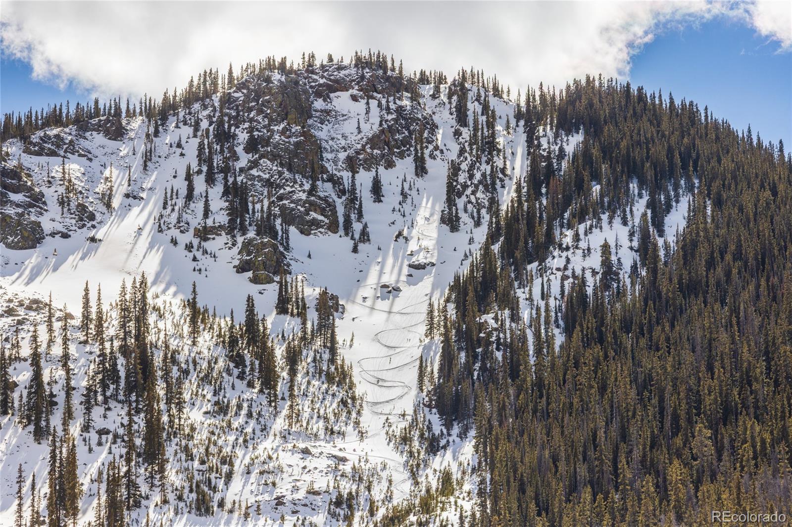 5355 Montezuma Road Montezuma, CO 80435 - Photo 17 of 50 a view of lots of trees