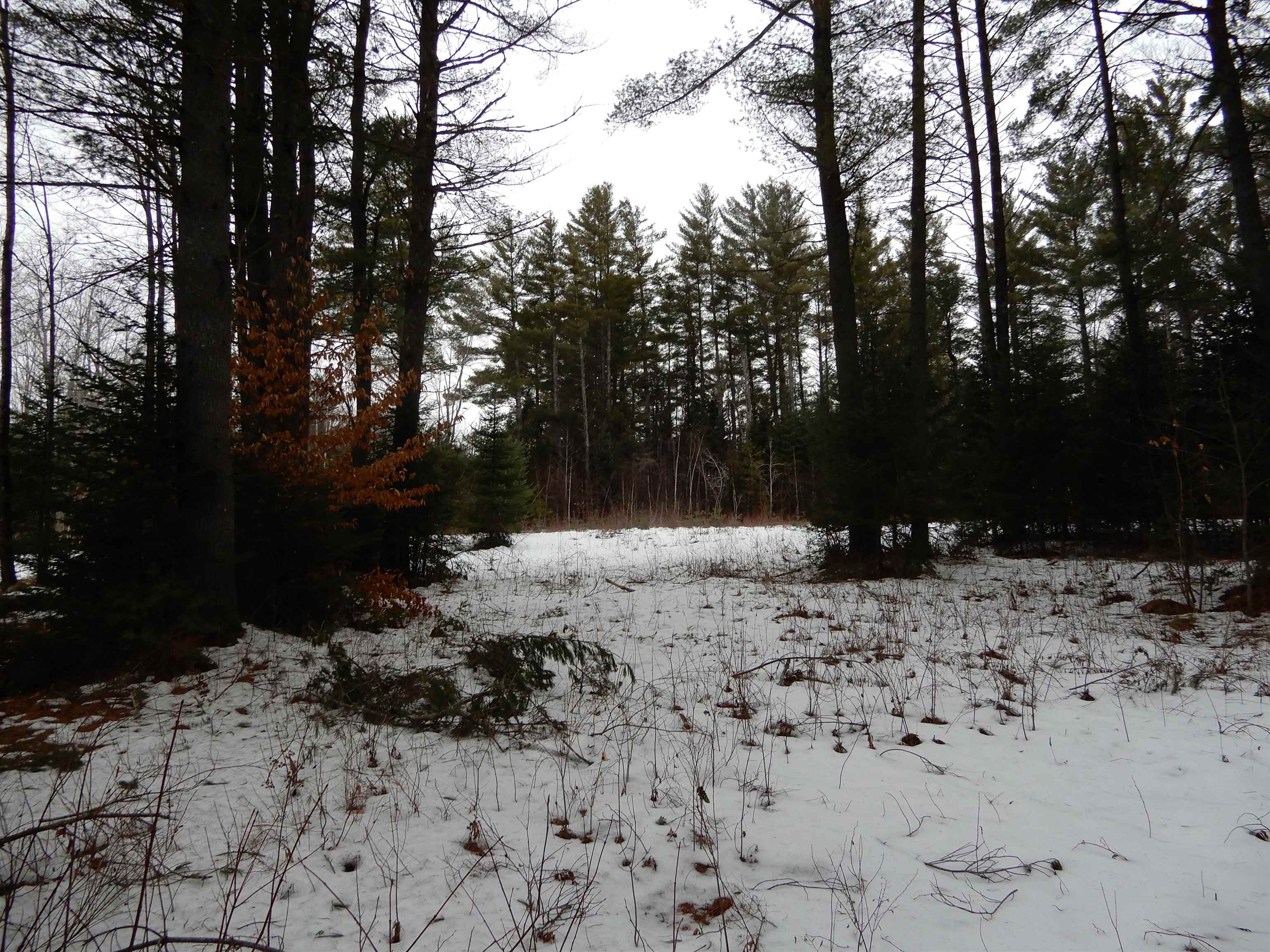 38 Cider Mill Road Canaan, NH 03741 - Photo 1 of 9