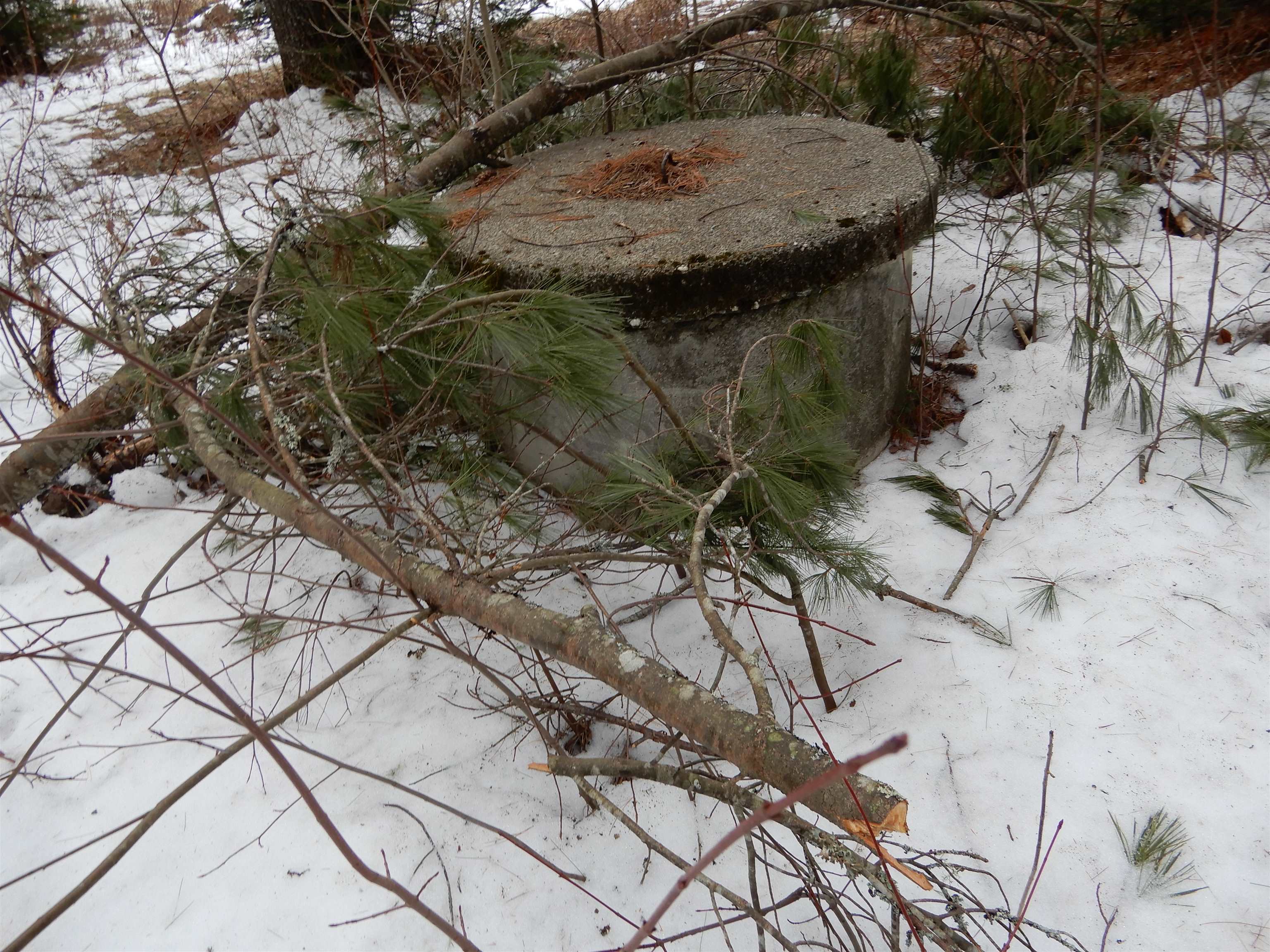 38 Cider Mill Road Canaan, NH 03741 - Photo 2 of 9