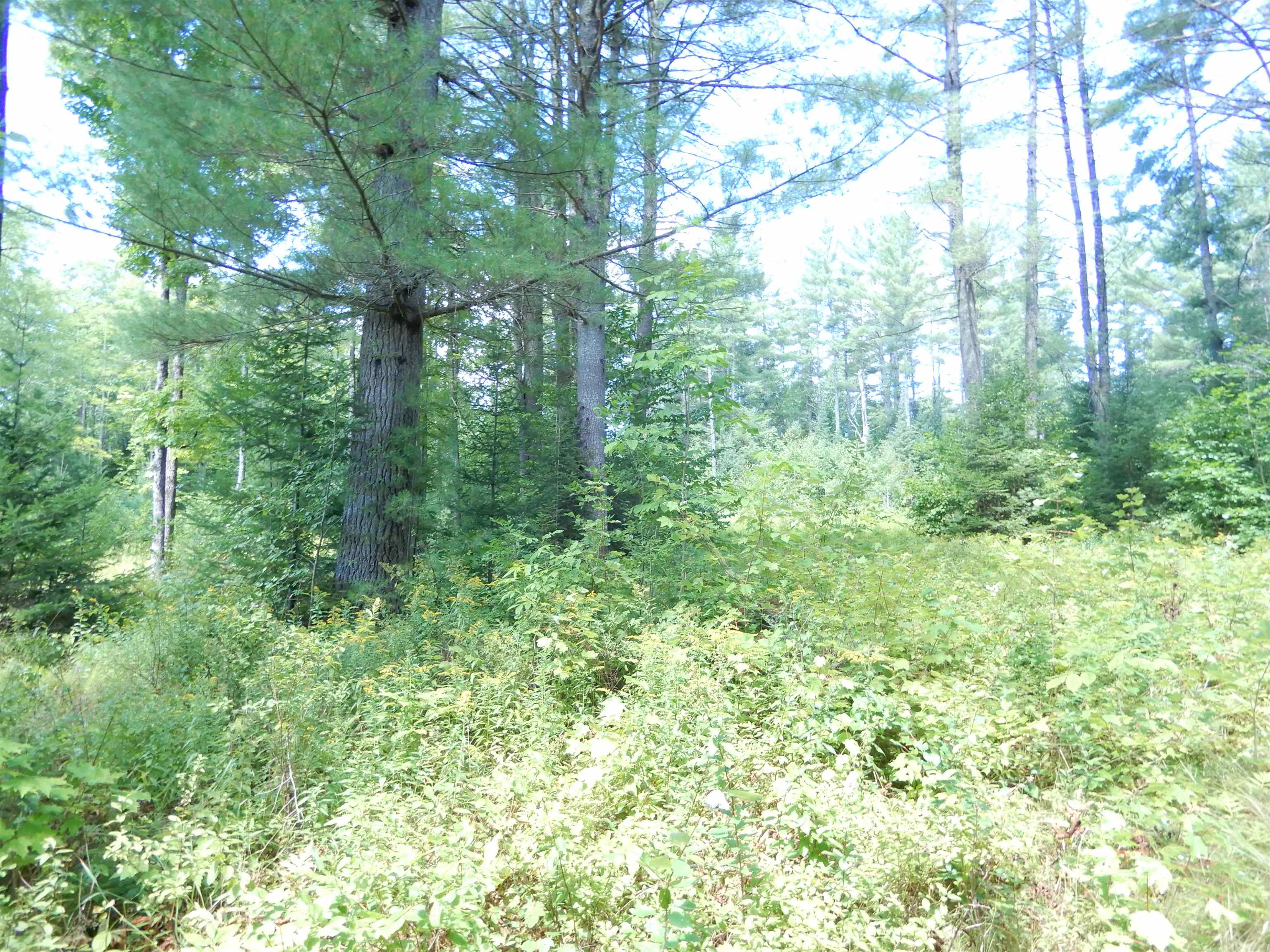 38 Cider Mill Road Canaan, NH 03741 - Photo 3 of 9