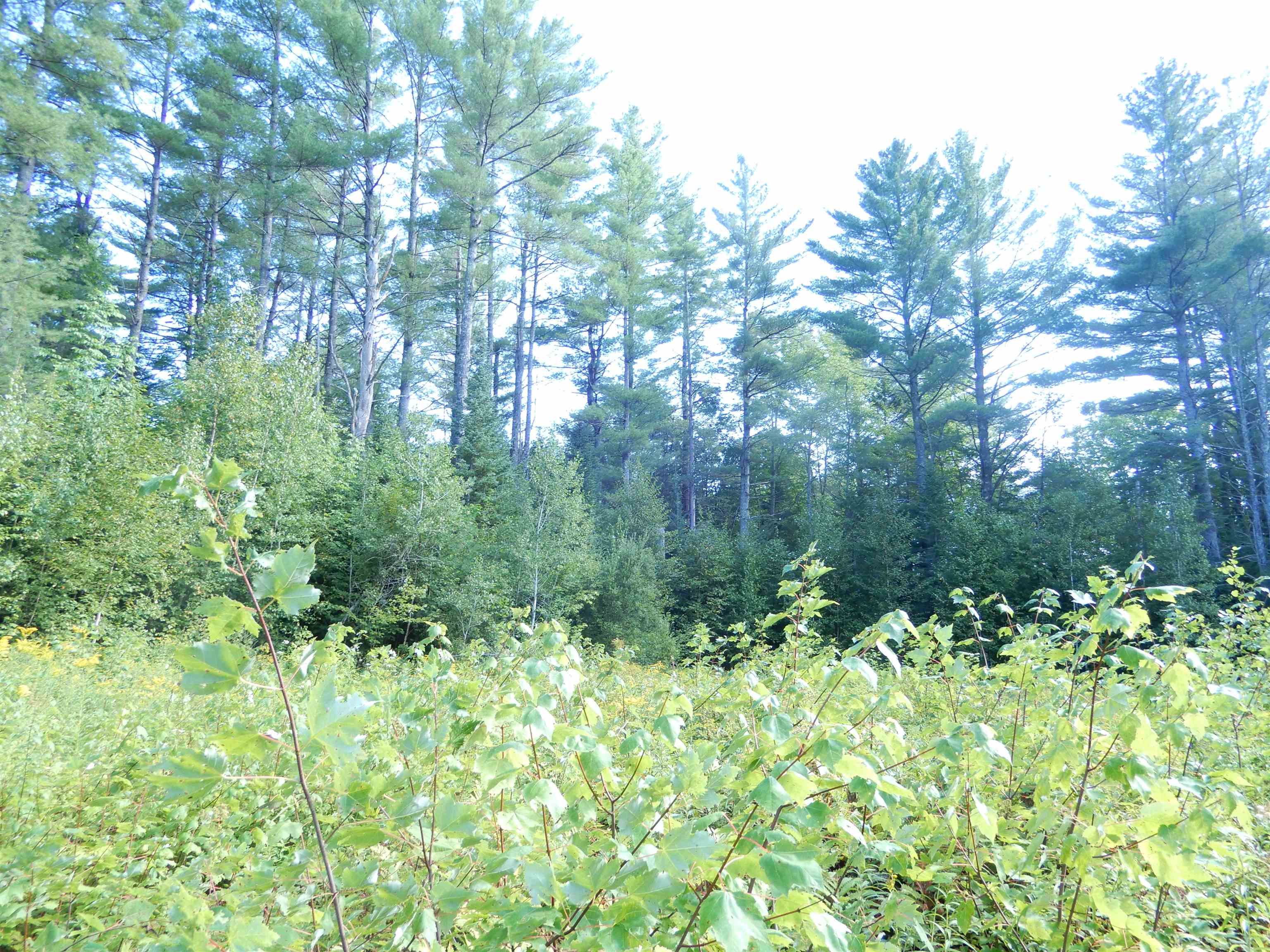 38 Cider Mill Road Canaan, NH 03741 - Photo 4 of 9