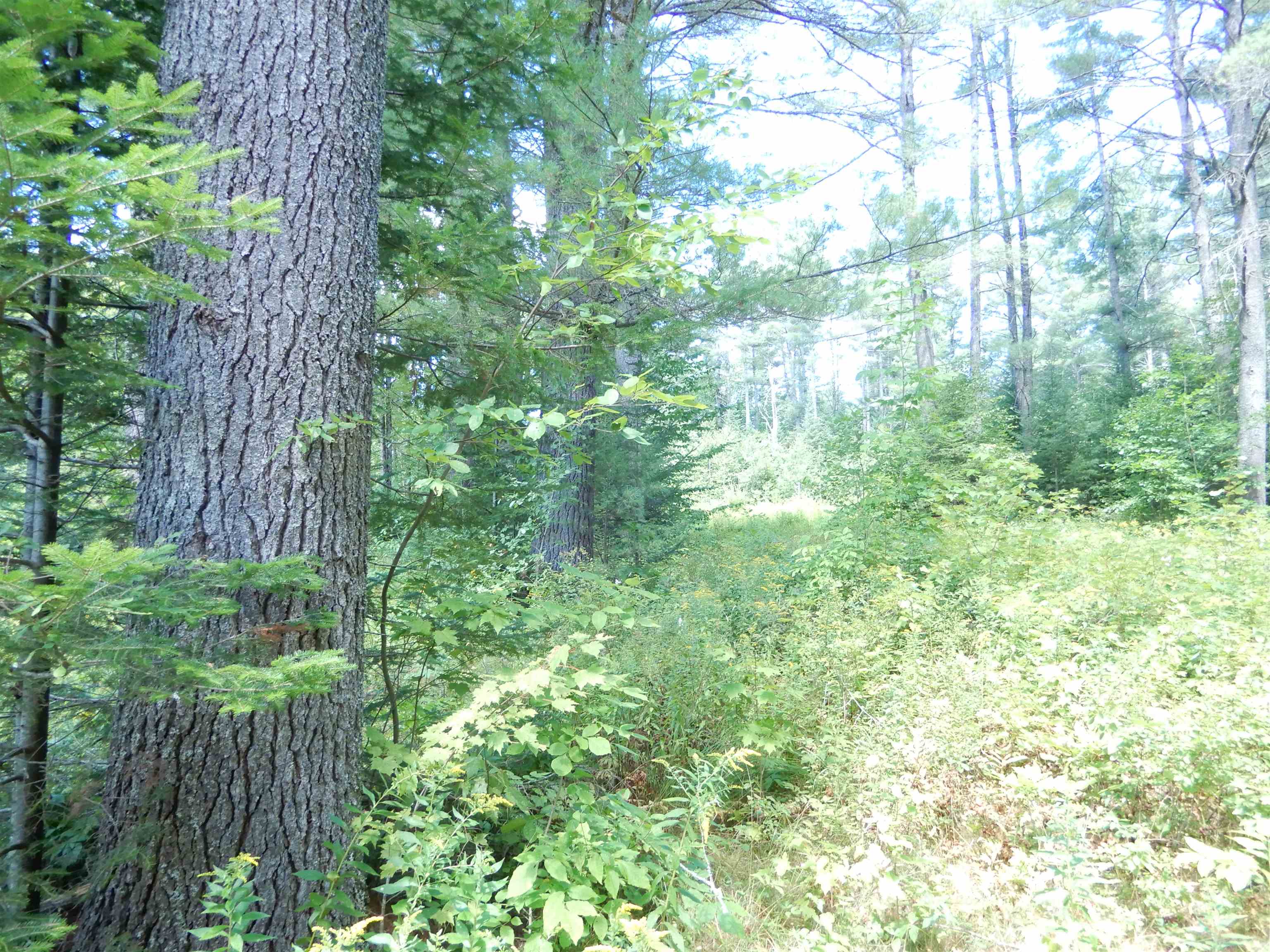 38 Cider Mill Road Canaan, NH 03741 - Photo 7 of 9