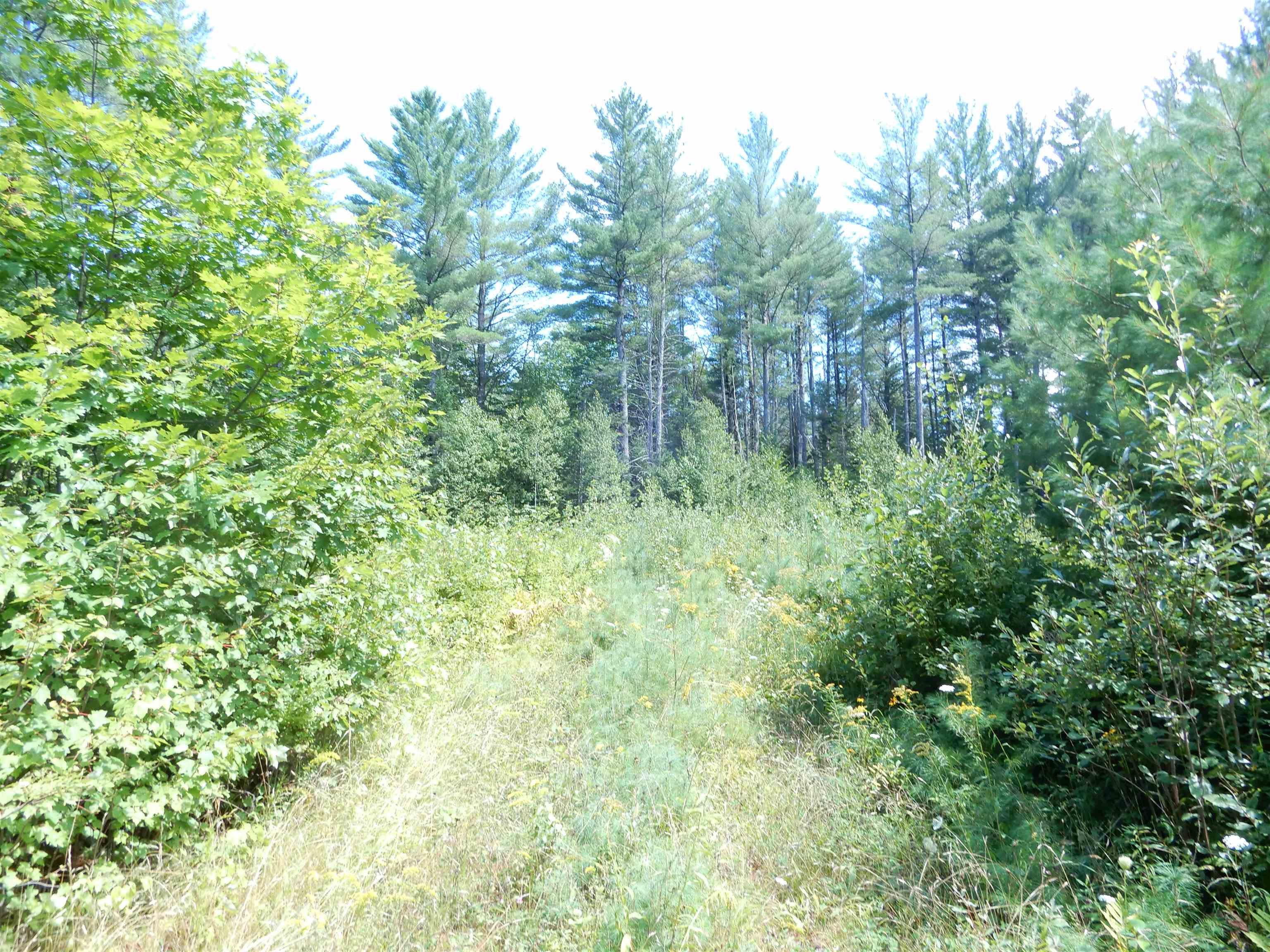 38 Cider Mill Road Canaan, NH 03741 - Photo 9 of 9