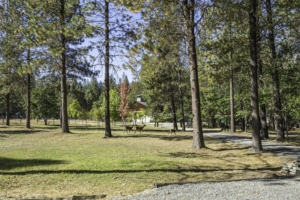 255 Davidson Road Williams, OR 97544 - Photo 38 of 82 DSC03844-HDR-Edit