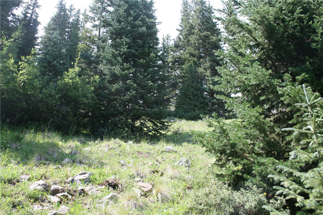 1919 Quartzville Road Alma, CO 80420 - Photo 3 of 10 Gallery Image 3
