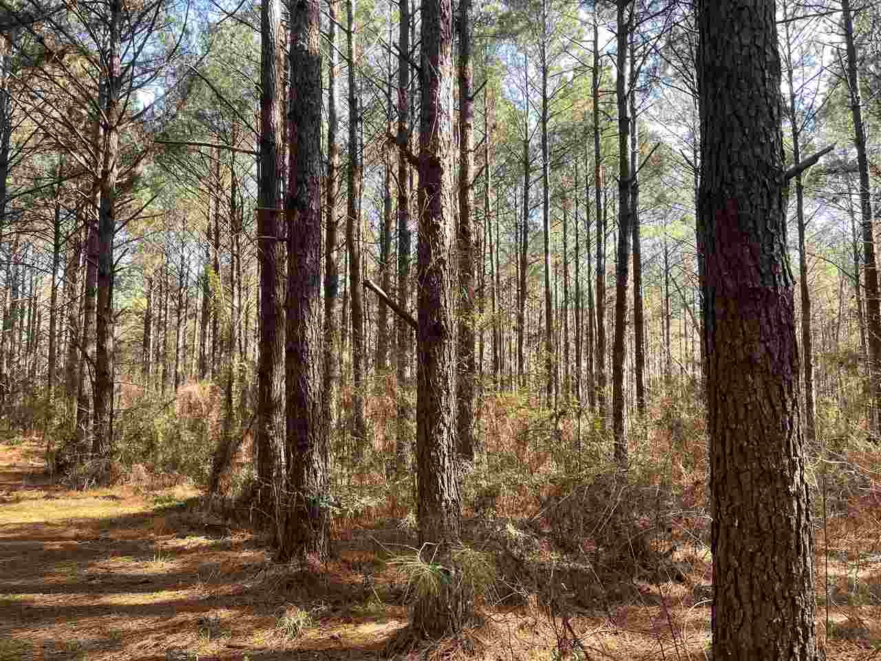 0 Martinsville Road Wesson, MS 39191 - Photo 10 of 40 Photo 10