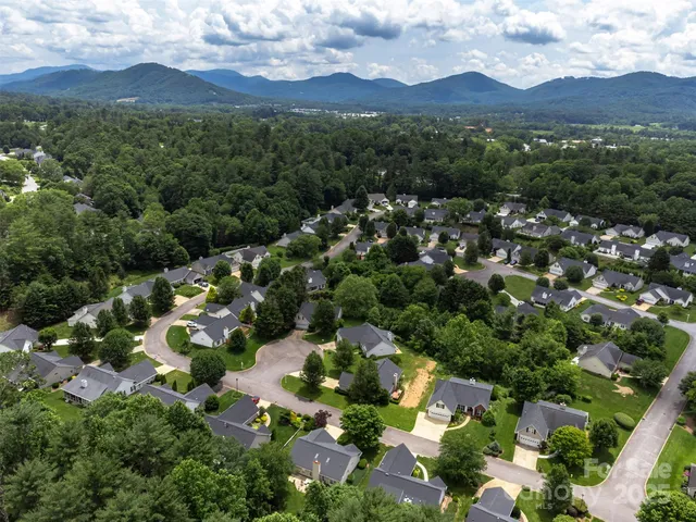 an aerial view of green landscape with trees houses and mountain view