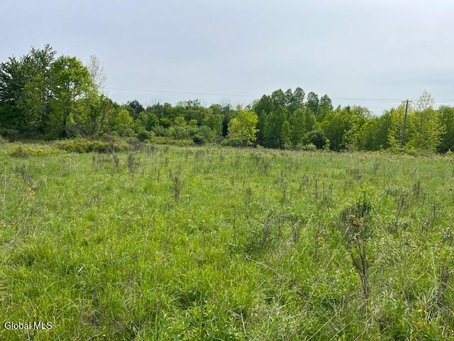 L9 Harrington Road Gilboa, NY 12076 - Photo 15 of 27 IMG_5391