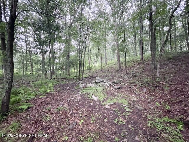 1450 Deer Run East Bushkill, PA 18324 - Photo 7 of 24 a view of a forest with trees
