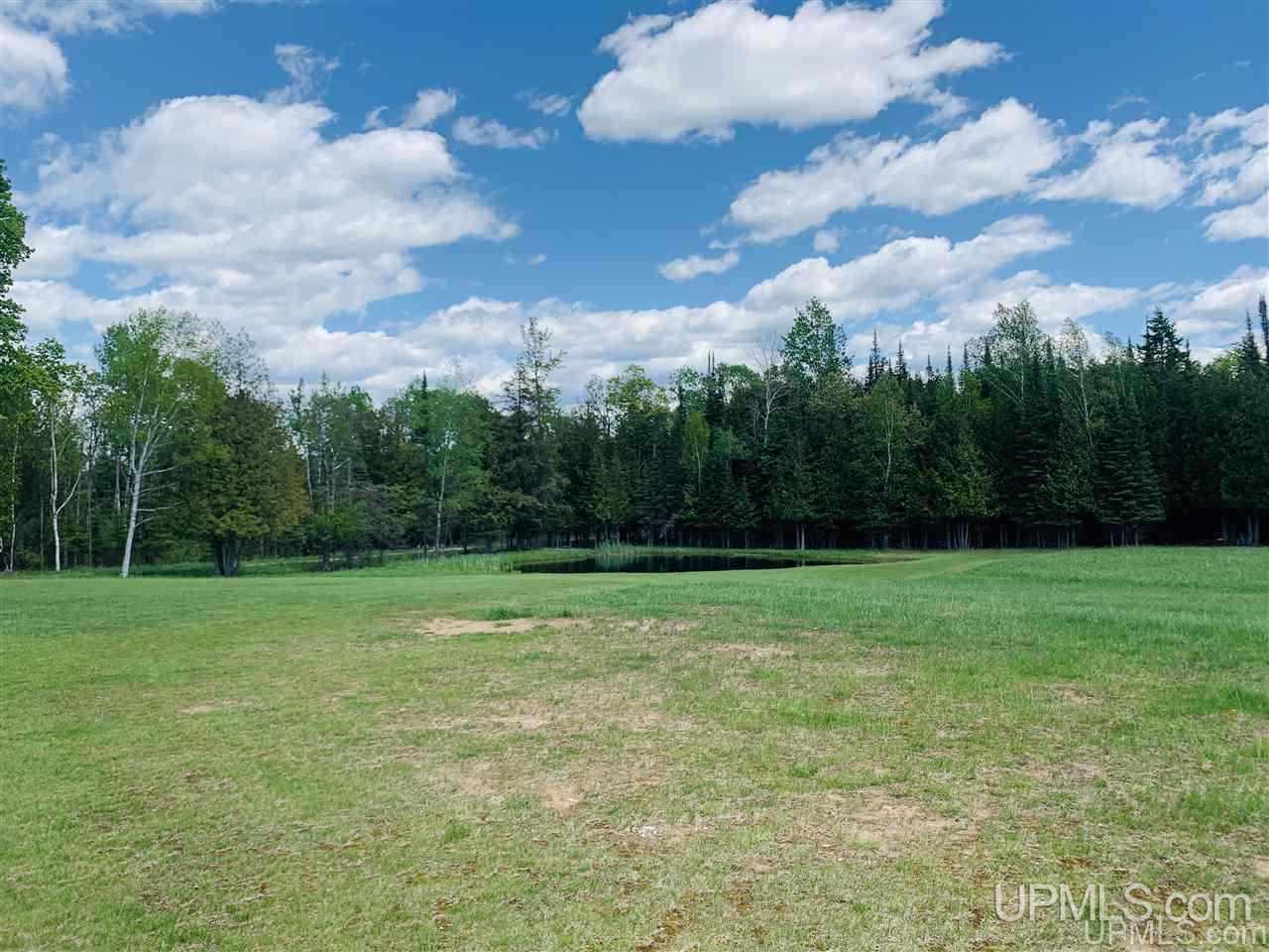 9495 Co Road Cornell, MI 49818 - Photo 9 of 40