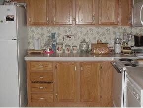 885 Sinking Springs Road Midway, TN 37809 - Photo 3 of 9 Photo 3