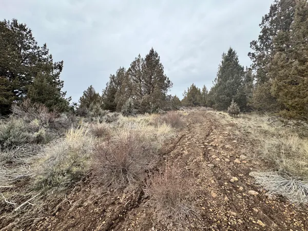 $13,000 | 0 Drews Road, Unit 6, Chiloquin, OR 97624