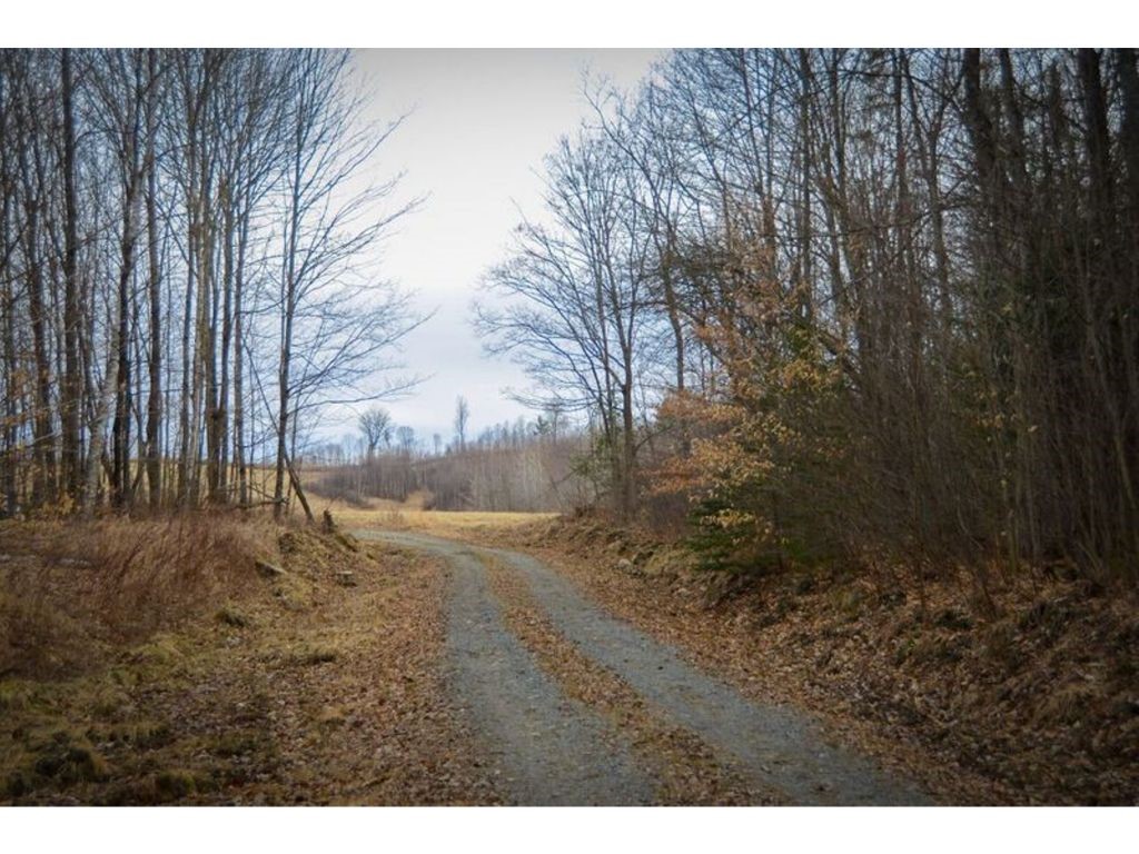 1817 Taplin Hill Road Corinth, VT 05039 - Photo 3 of 15