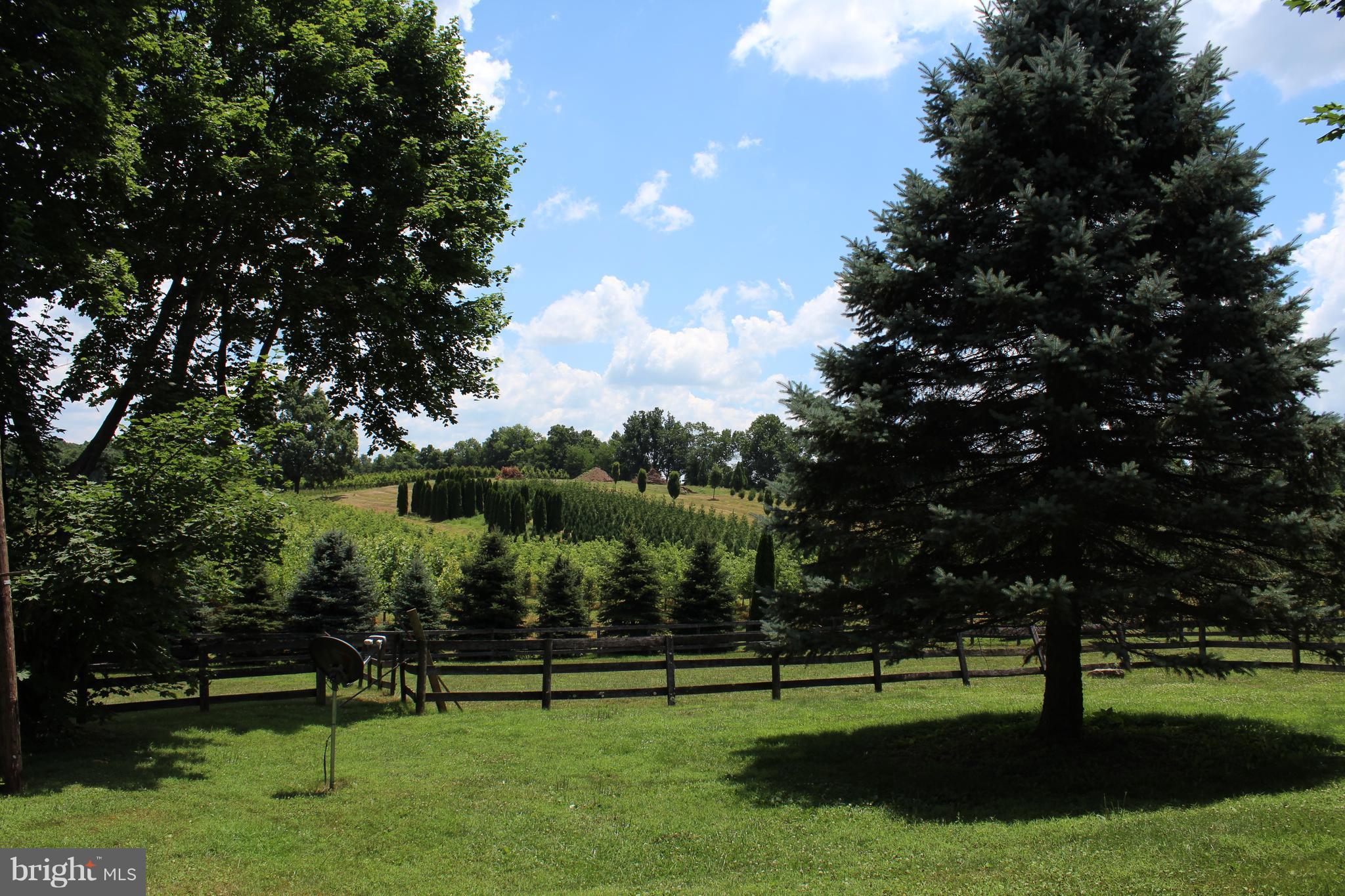 3359 Poplar Run Road Manchester, MD 21102 - Photo 27 of 30 a view of grassy field with benches and trees all around