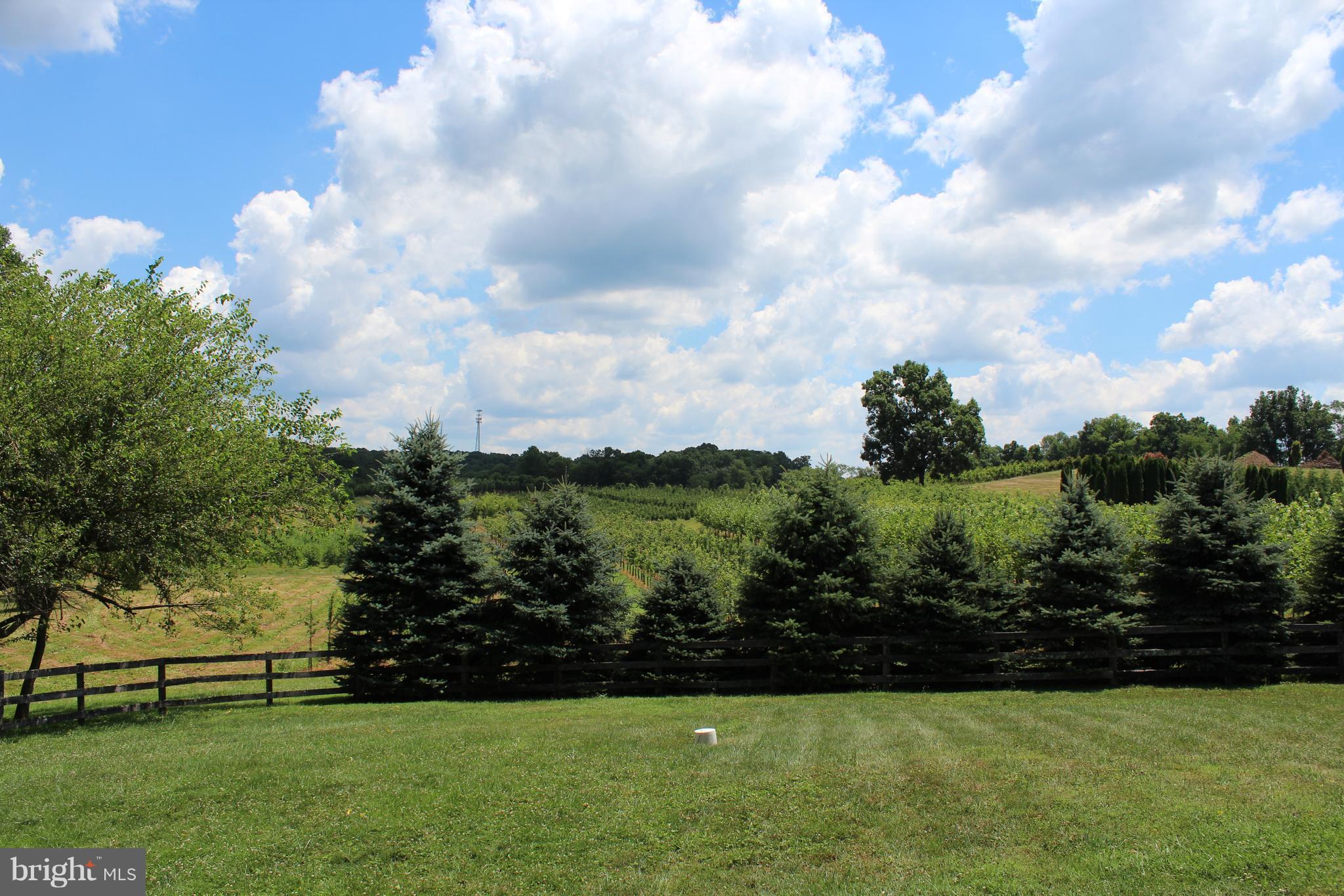 3359 Poplar Run Road Manchester, MD 21102 - Photo 28 of 30 a view of garden with trees