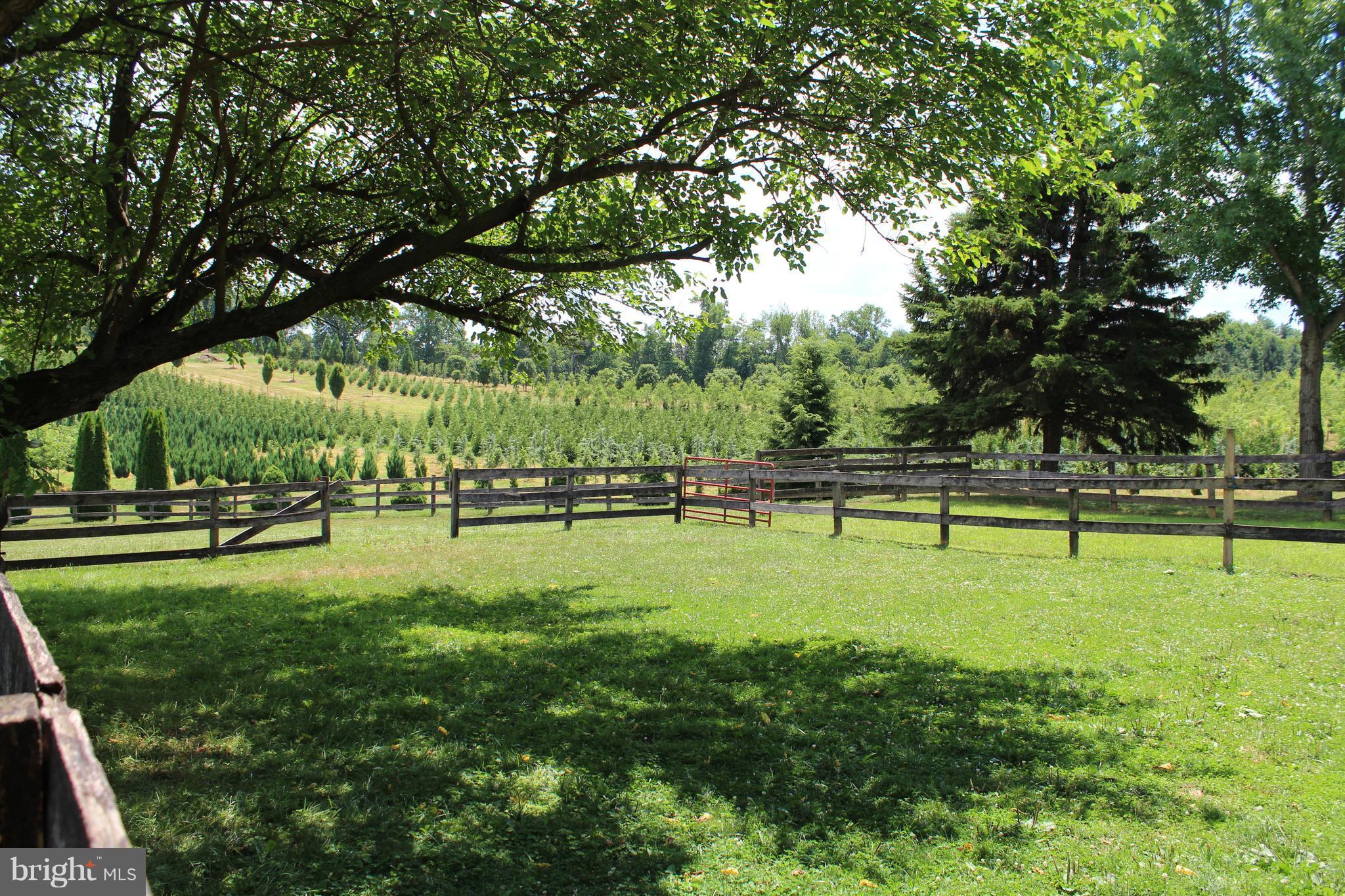 3359 Poplar Run Road Manchester, MD 21102 - Photo 29 of 30 a view of a park
