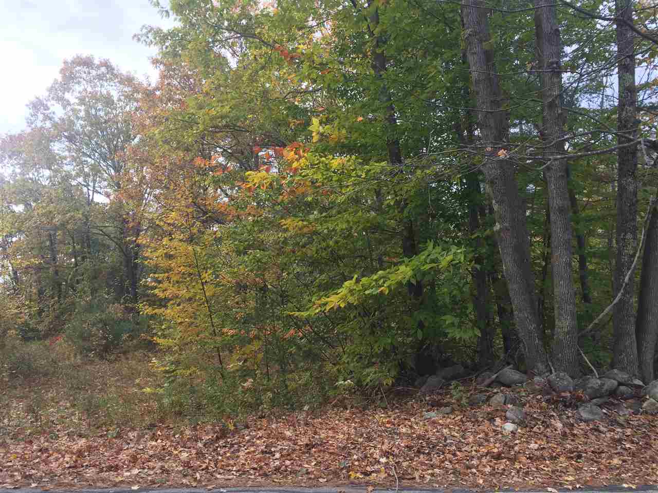 Jug Hill Road Milton Mills, NH 03852 - Photo 1 of 2 Gallery Image 1