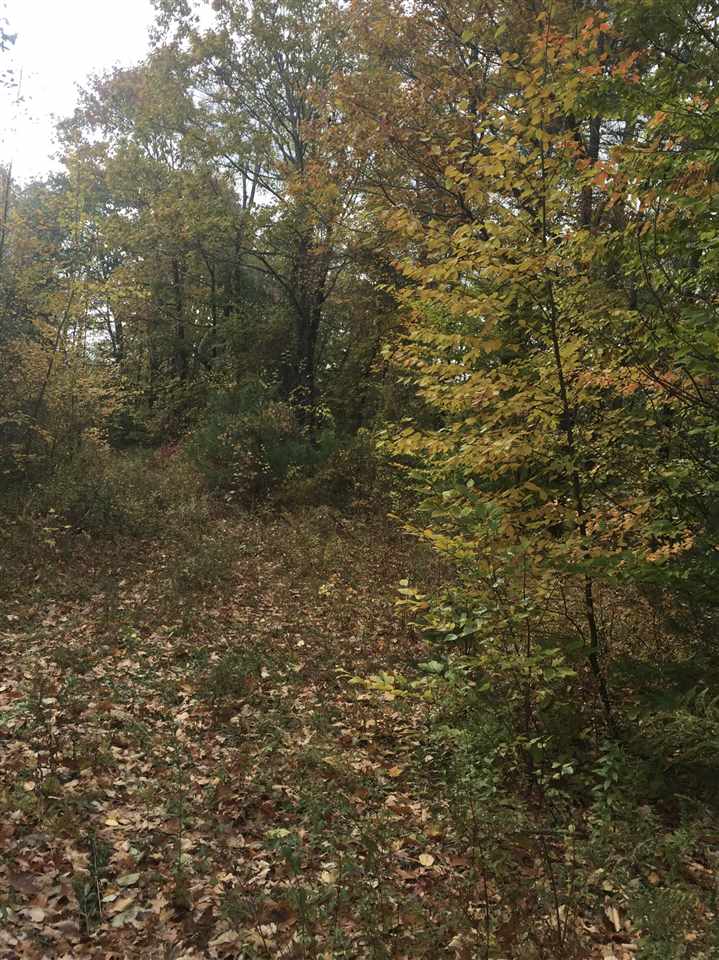 Jug Hill Road Milton Mills, NH 03852 - Photo 2 of 2 Gallery Image 2