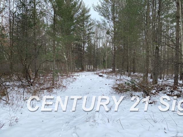 0 West Wackerly Road Sanford, MI 48657 - Photo 6 of 19