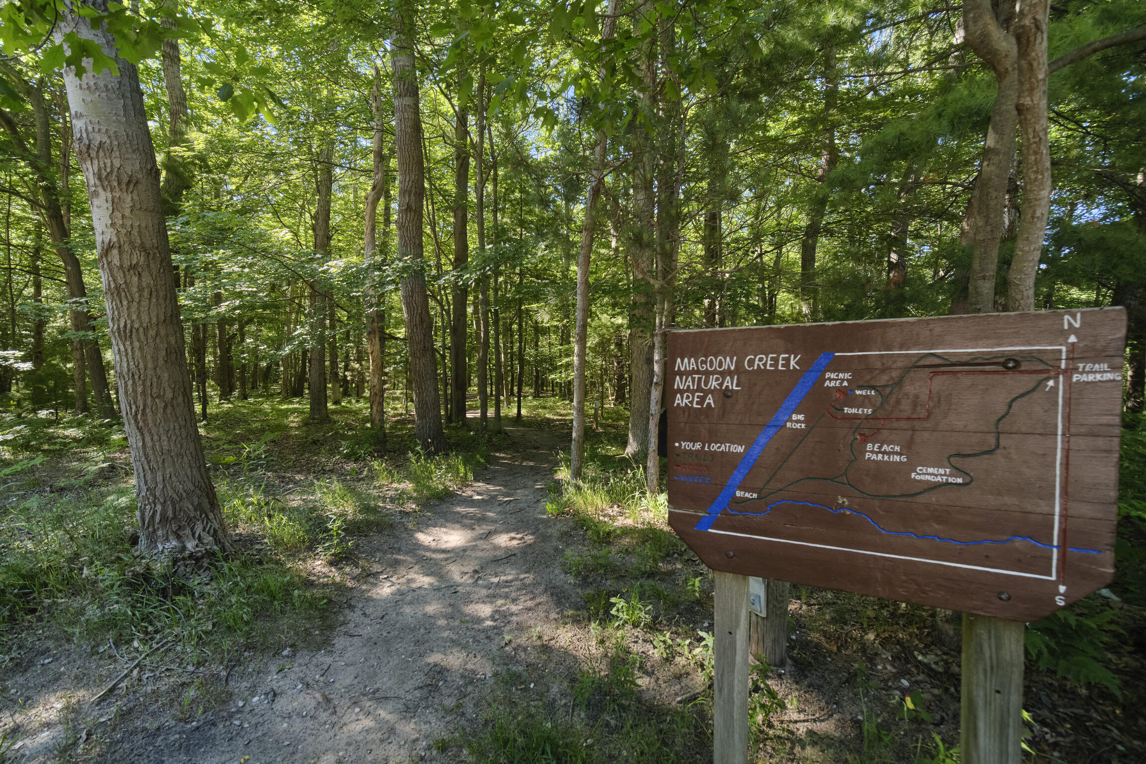 2721 Red Apple Road Manistee, MI 49660 - Photo 54 of 74 Magoon Creek