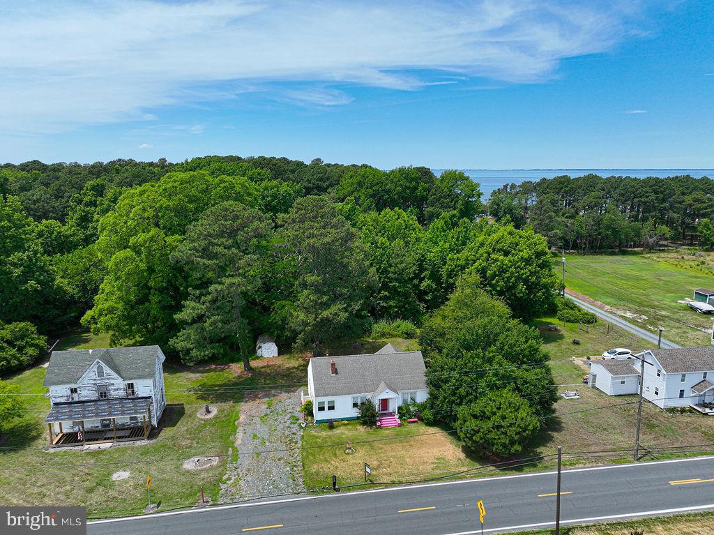 10116 Deal Island Road Deal Island, MD 21821 - Photo 53 of 58