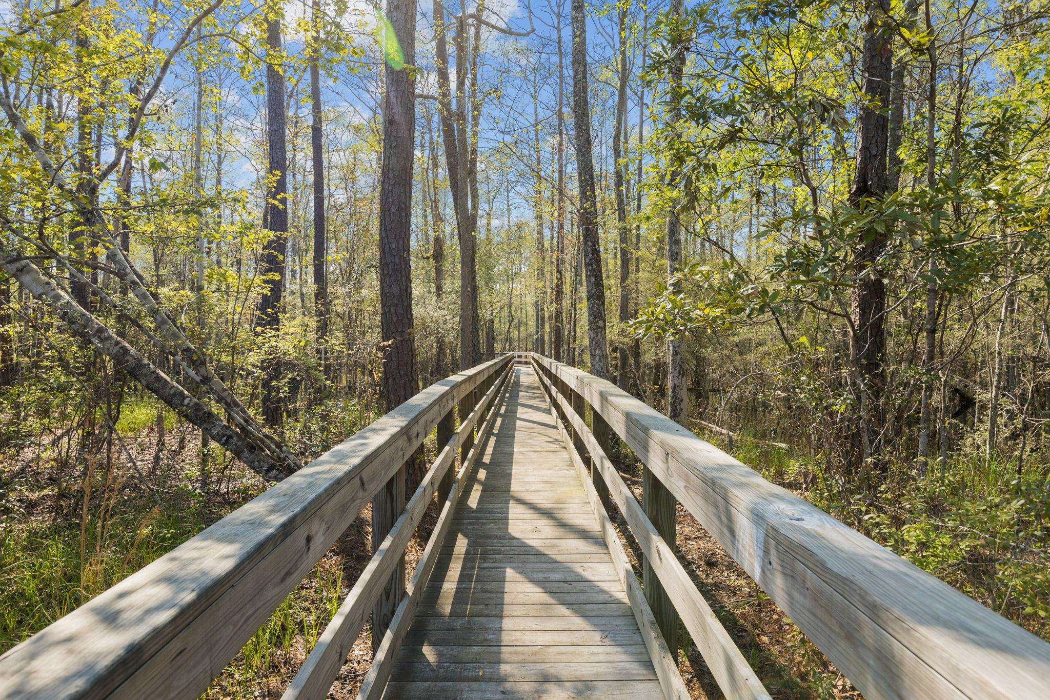 9060 Binnicker Drive Murrells Inlet, SC 29576 - Photo 60 of 94