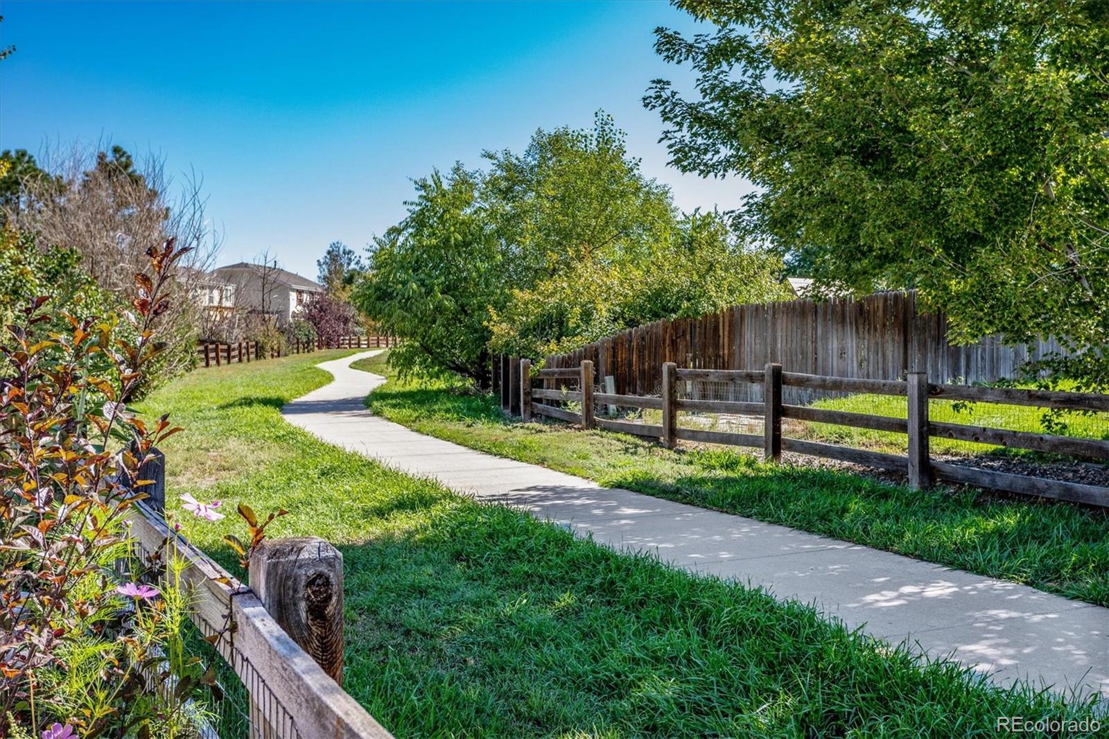 6462 Old Divide Trail Parker, CO 80134 - Photo 21 of 22