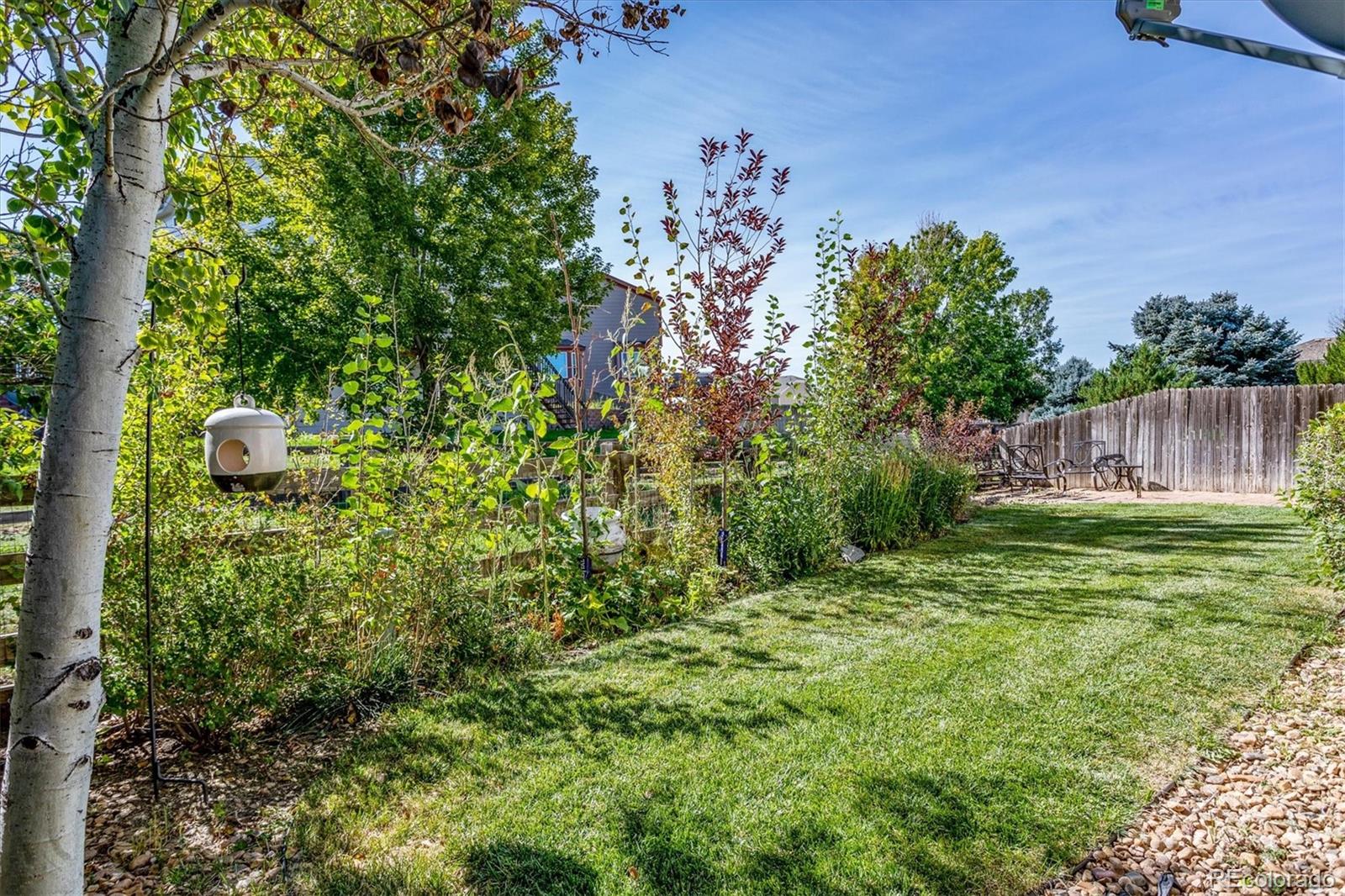 6462 Old Divide Trail Parker, CO 80134 - Photo 22 of 22