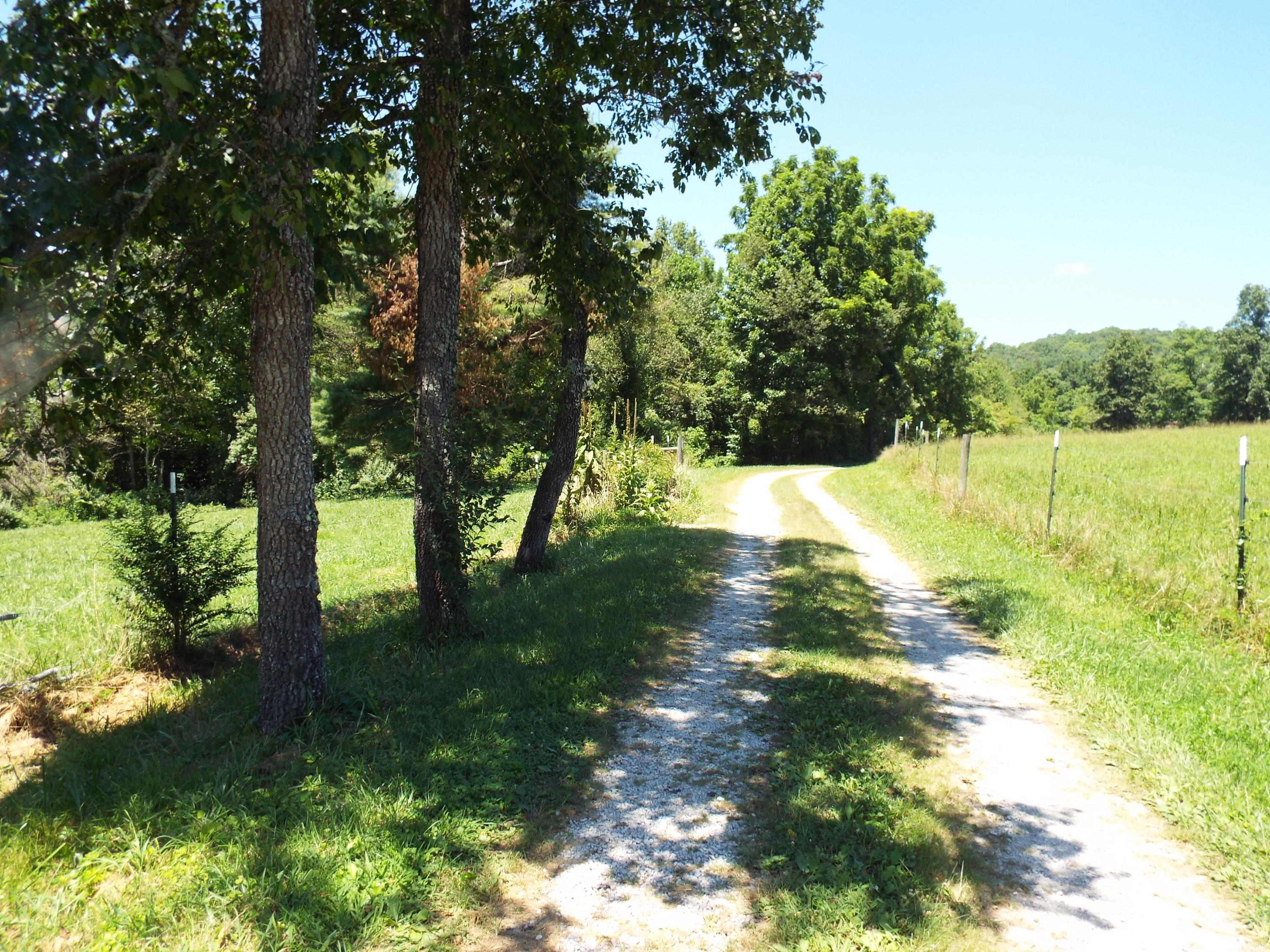 411-417 Shady Grove Road Lancing, TN 37770 - Photo 14 of 41 DSCF1054