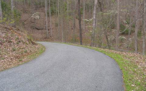 1 Burnt Ridge Road Blairsville, GA 30512 - Photo 3 of 4 Additional View