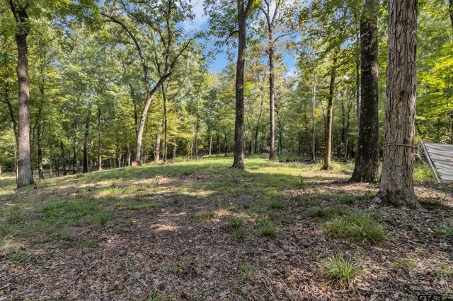 a backyard of a house with lots of green space and fountain