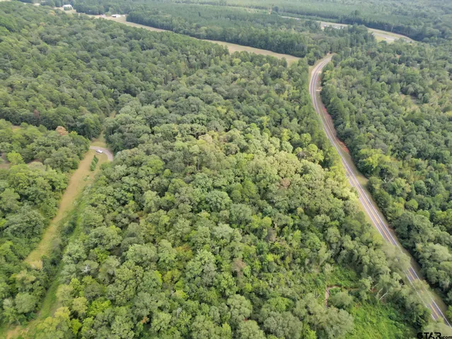 a view of a forest with a street