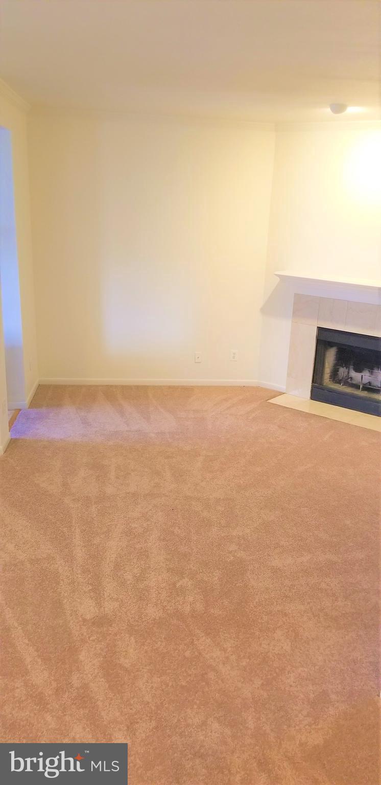 668 Gateway Drive Southeast, Unit 412 Leesburg, VA 20175 - Photo 5 of 9 Living Room w/Wood Burning Fireplace