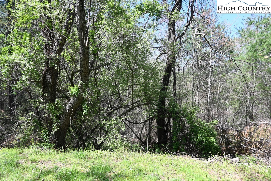 15 A River Bend Hills Road Crumpler, NC 28617 - Photo 1 of 9 a view of a yard